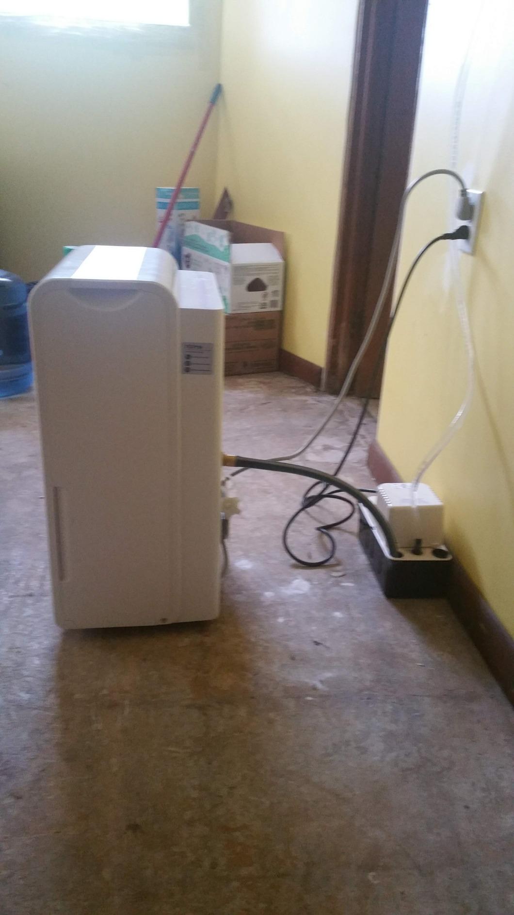 hOmeLabs Dehumidifier 7,000 Sq Ft 50 Pint (MAX 120 Pint at 95°F, 90% RH) | WIFI + Upgraded Advanced Humidity & Moisture Control, Quiet, Efficient, Auto Shut-off, Ideal for Home, Basement, Office customer photo 2