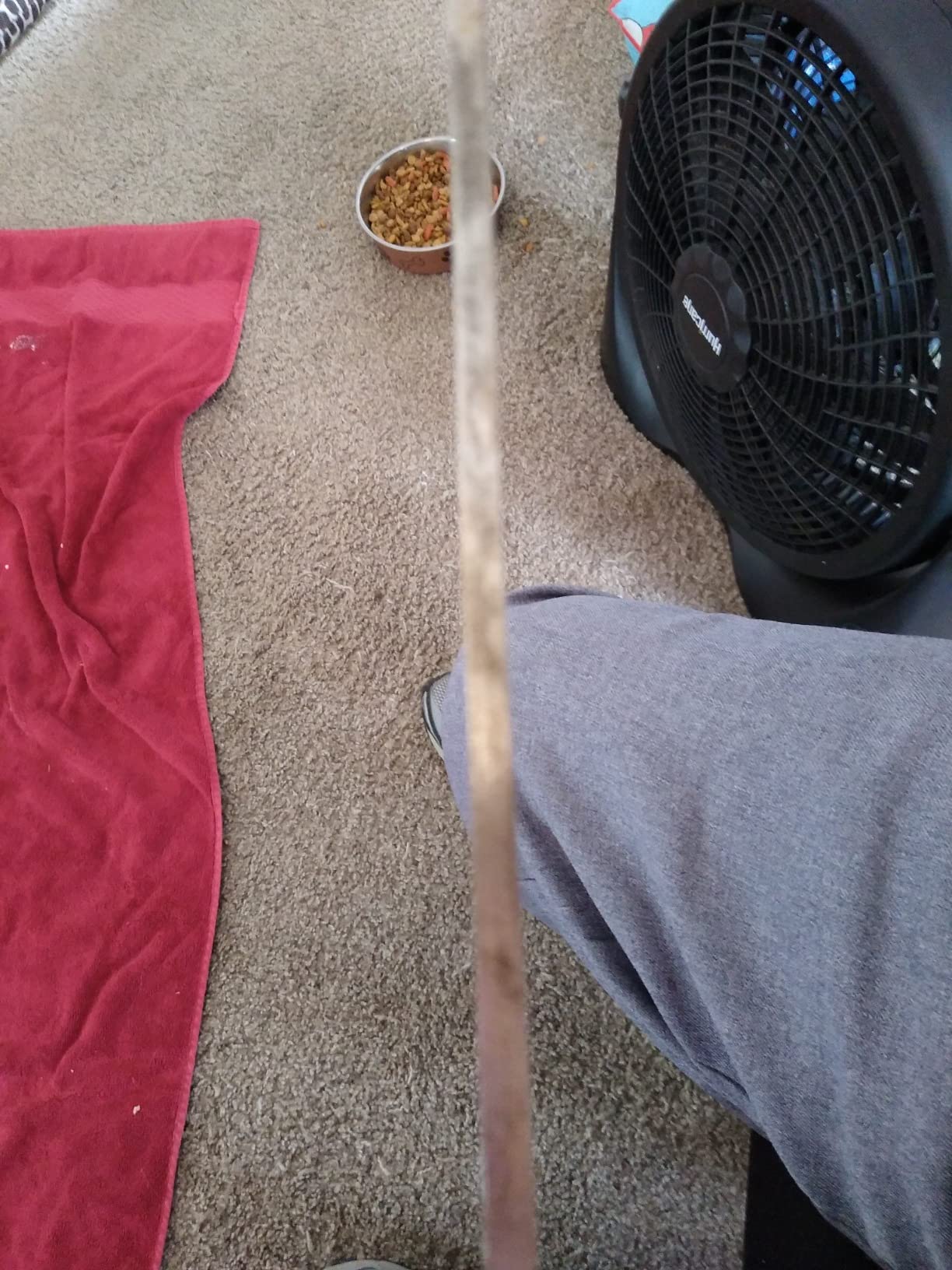 Practice Foil Weapon with French Handle (for Adult #5, Right) customer photo 1
