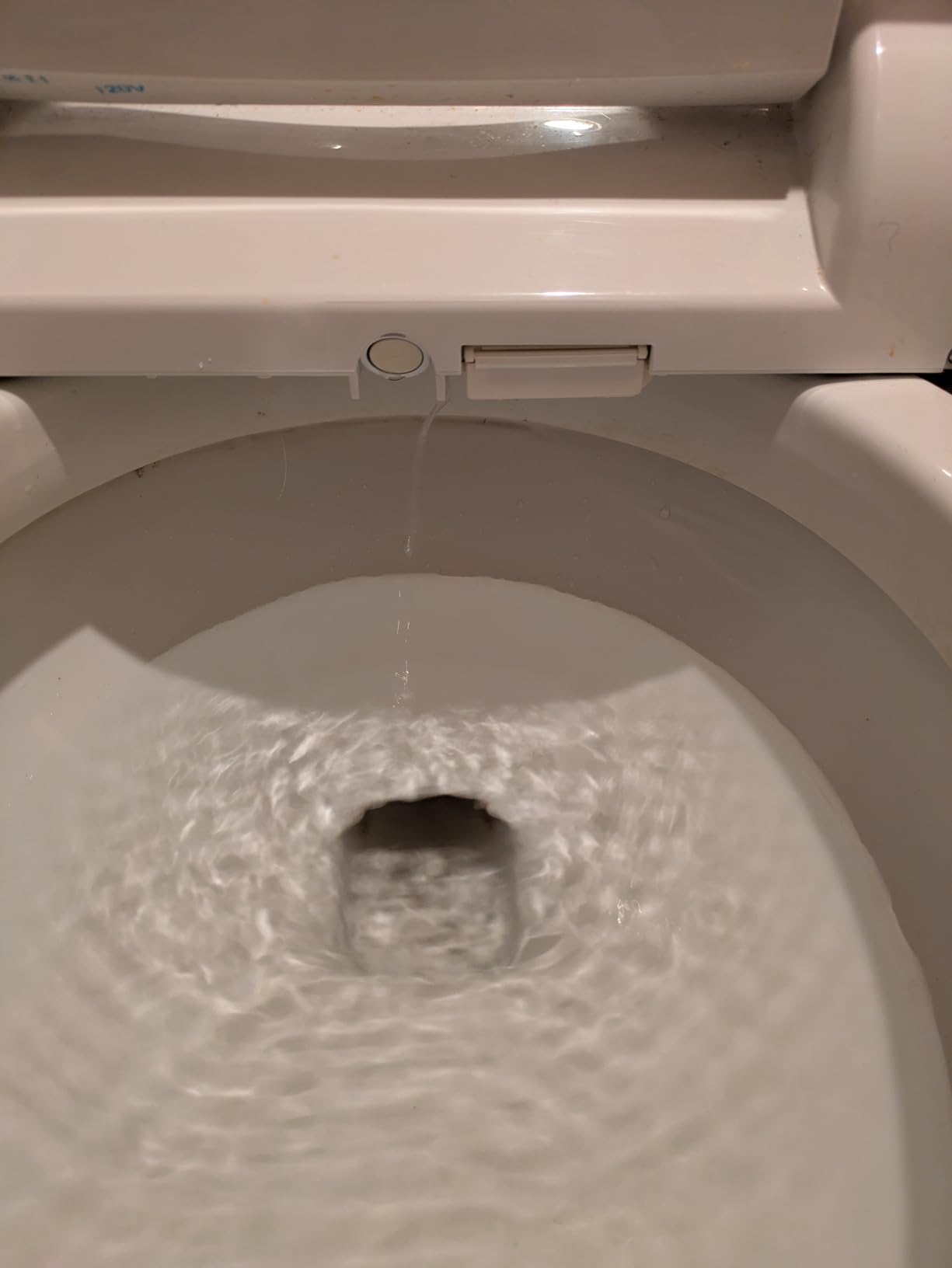 Brondell SE400-EW Swash SE400 Electric Bidet Toilet Seat With Heated Seat, Oscillating Stainless Steel Nozzle, Warm Air Dryer, Night Light, Gentle Close Lid, White Side Arm Control, Elongated customer photo 2