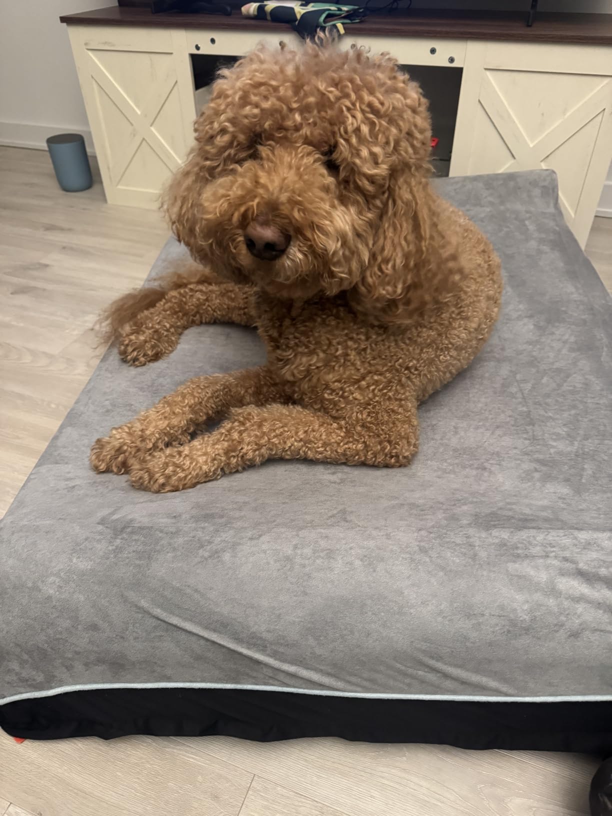 Laifug Orthopedic Dog Beds for Large Dogs, 7