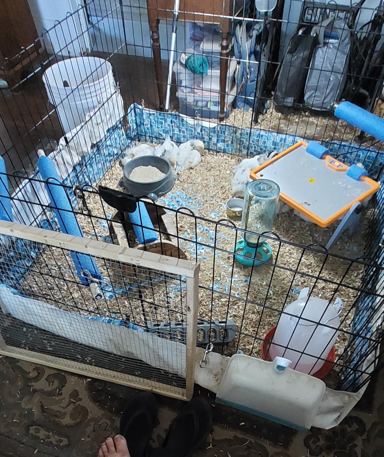Amazon Basics Portable Foldable Octagonal Metal Exercise Dog Playpen, Indoor/Outdoor Pet Fence with Single Door, 8 Panels, Small, 30 Inches, Black customer photo 2