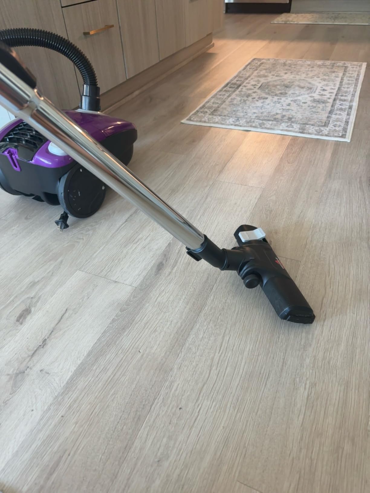 Bissell 2156A Zing Canister Bagless Vacuum customer photo 1
