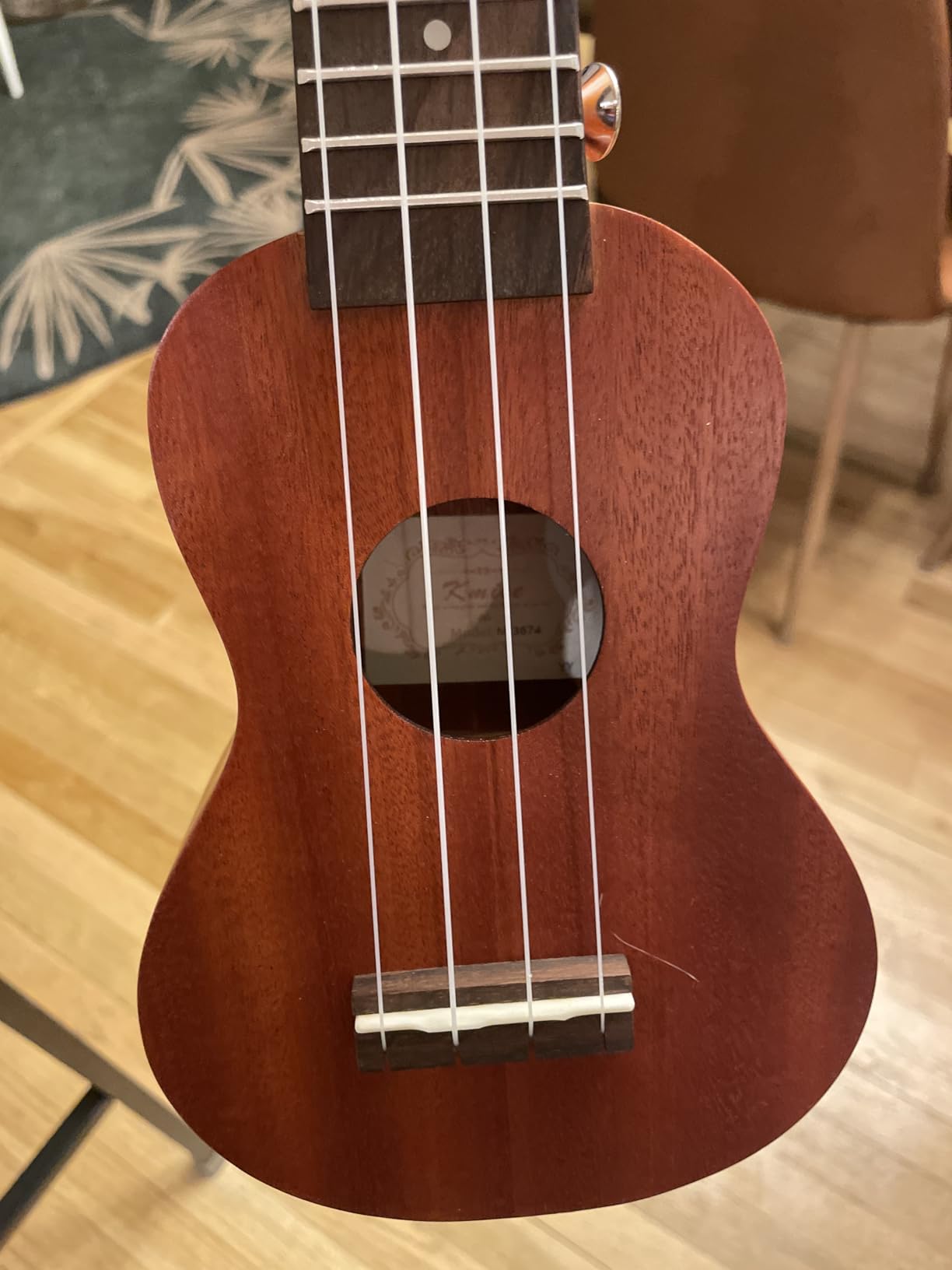 Kmise Professional Ukulele for Adult Beginner, Free Online Lesson 21 inch Soprano Mahogany Ukelele with Kids Ukele Bundle Starter Kit Gig Bag Case, Strap, Tuner, Nylon Strings, Book, Uke Gift Choice customer photo 1