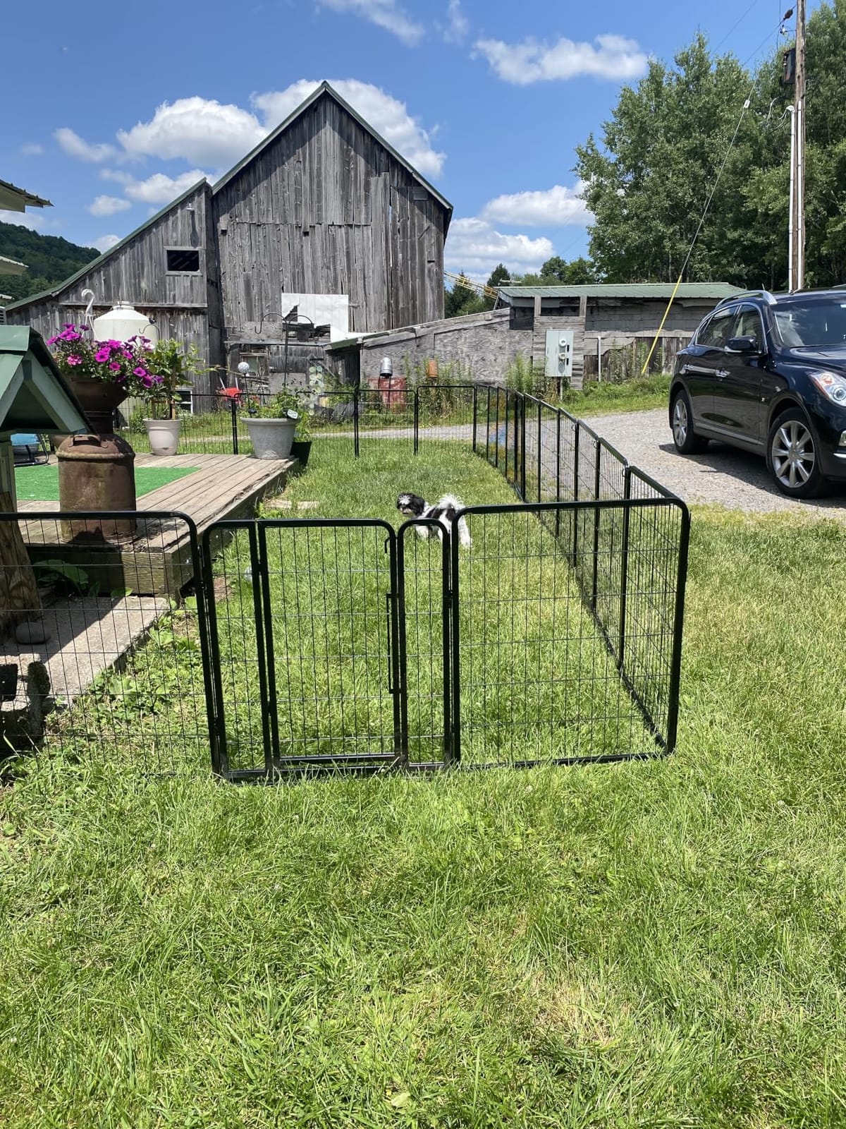 Yaheetech Dog Playpen 40in 8 Panels Portable Fence for Indoor Yard Camping | Sturdy Heavy-duty Metal Frame with Secure Latch Door, Tool-free Assembly, Folds Flat, Ideal for Medium to Large Dog Breeds customer photo 1