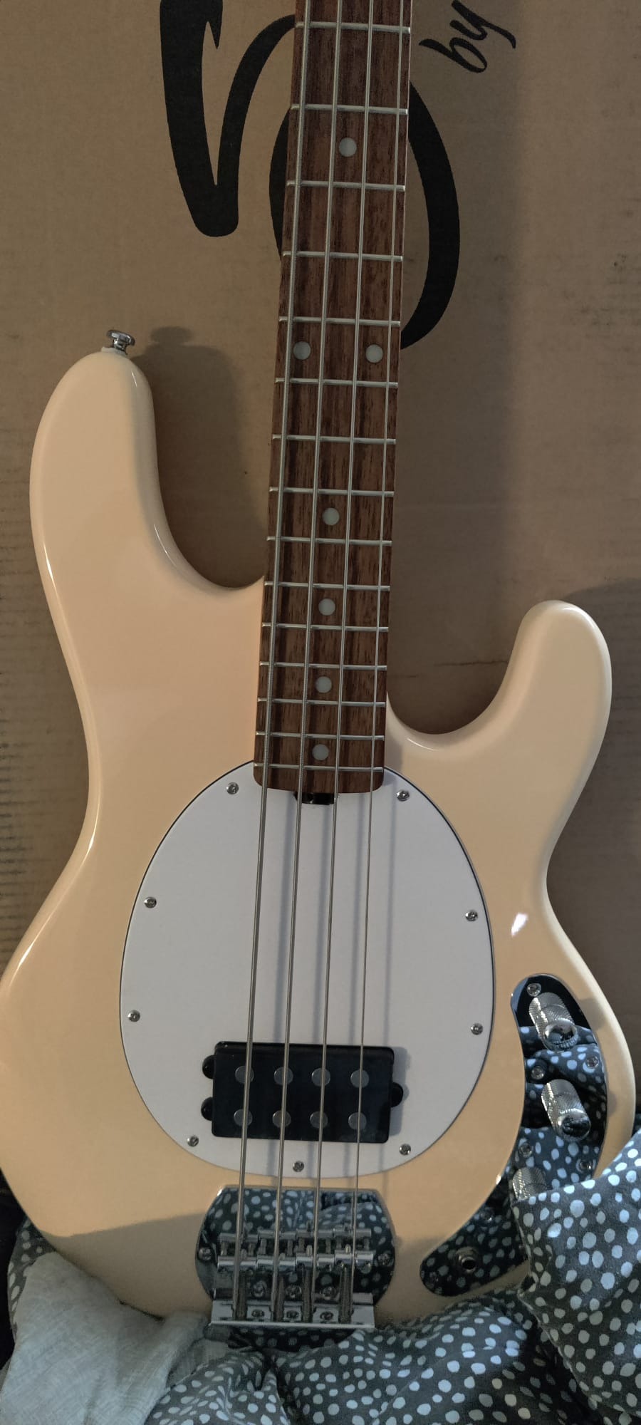 Sterling by Music Man StingRay Ray4 Bass Guitar in Walnut Satin customer photo 1