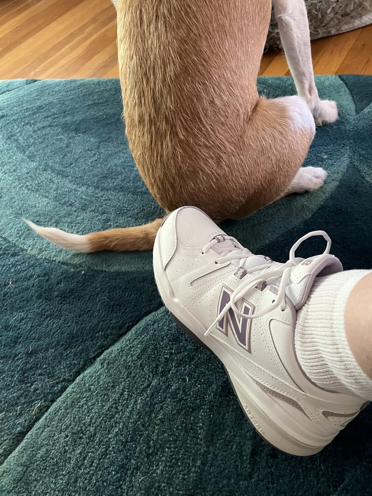 New Balance Women's 608 V5 Casual Comfort Cross Trainer customer photo 1