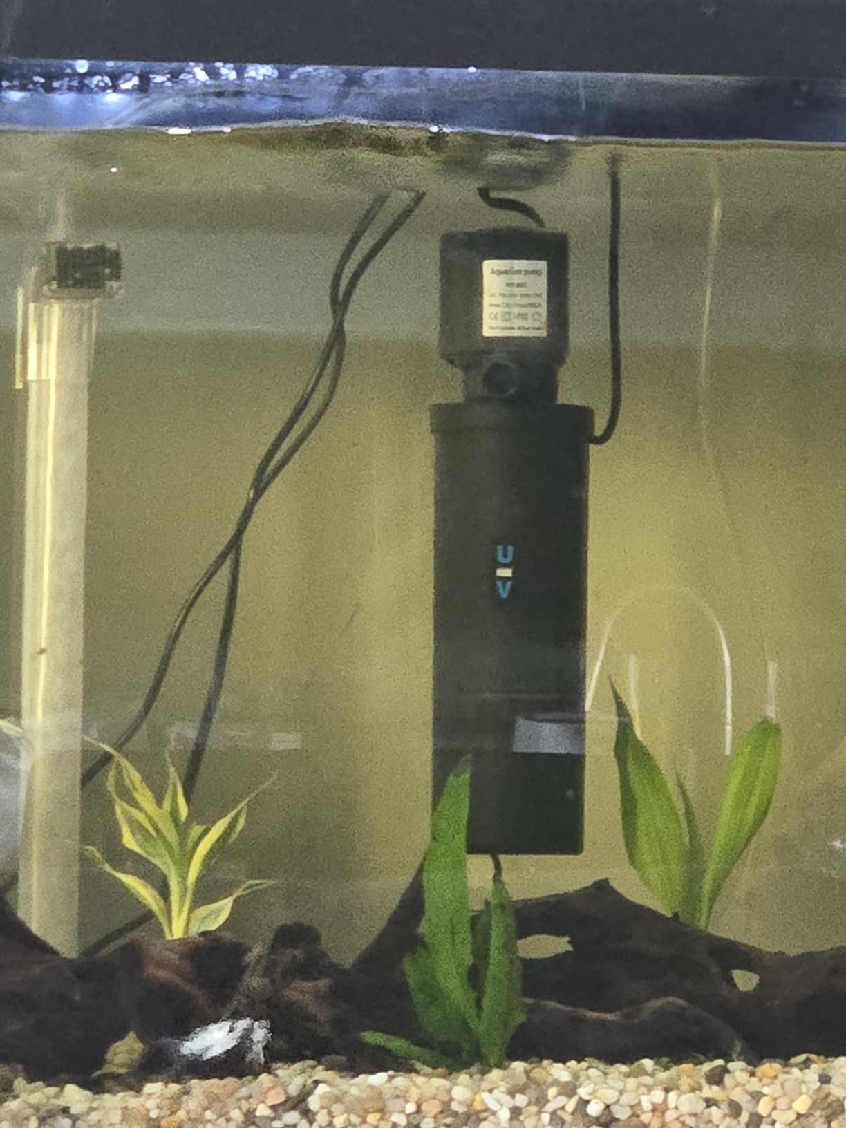 Tetra Complete with Plants 55 Gallon Fish Tank Kit, Freshwater & Saltwater | Aquarium Kit Includes LED Lights, 55 Gallon Glass Tank With 2 Hinged Hoods, Filter & Cartridges, Heater, Plants, Samples, Net customer photo 2