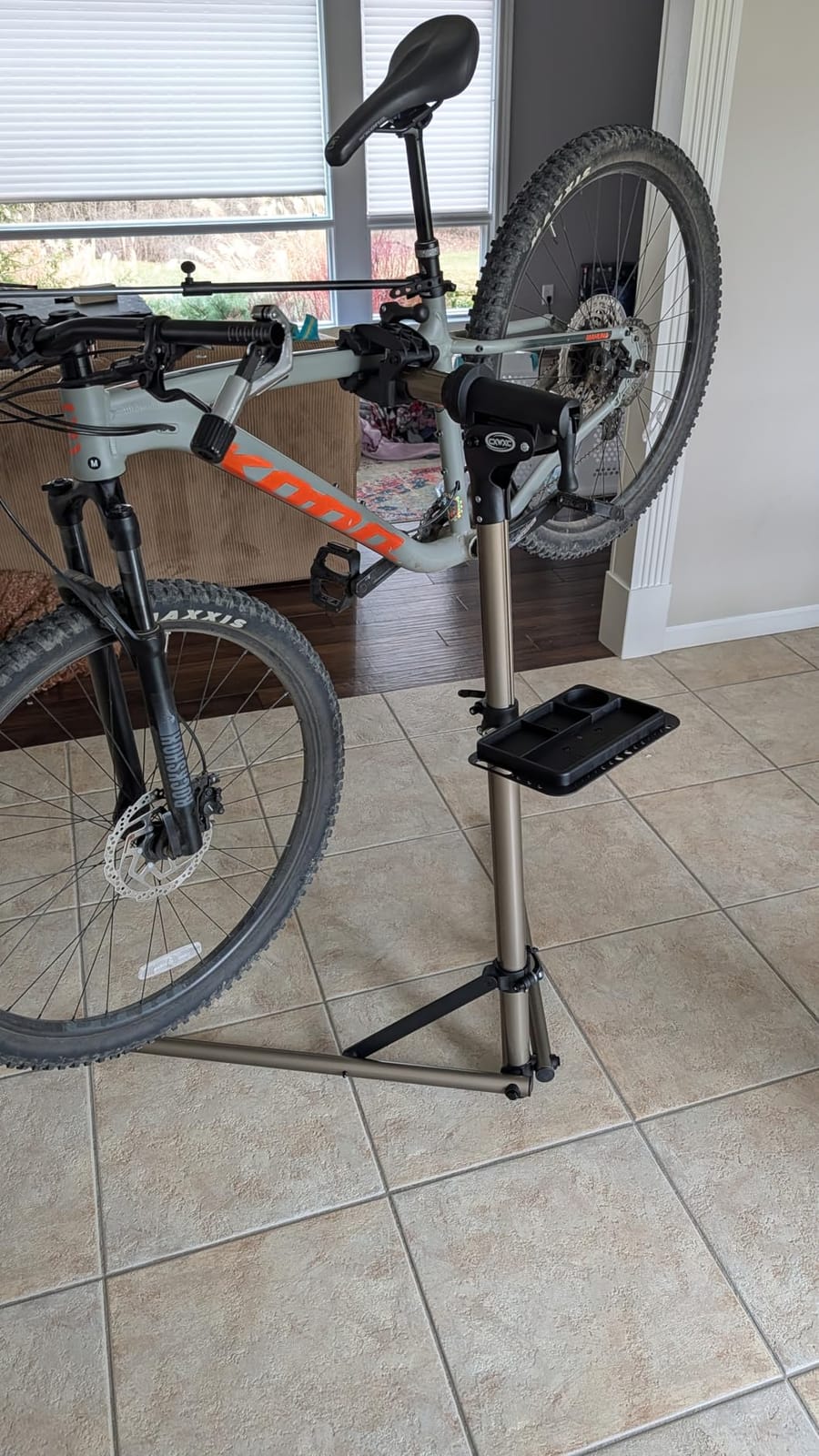 CXWXC Bike Repair Stand - Shop Home Bicycle Mechanic Maintenance Rack | Bike Workstands for Mountain Bike and Road Bike (rs100) (A: Champagne) customer photo 2