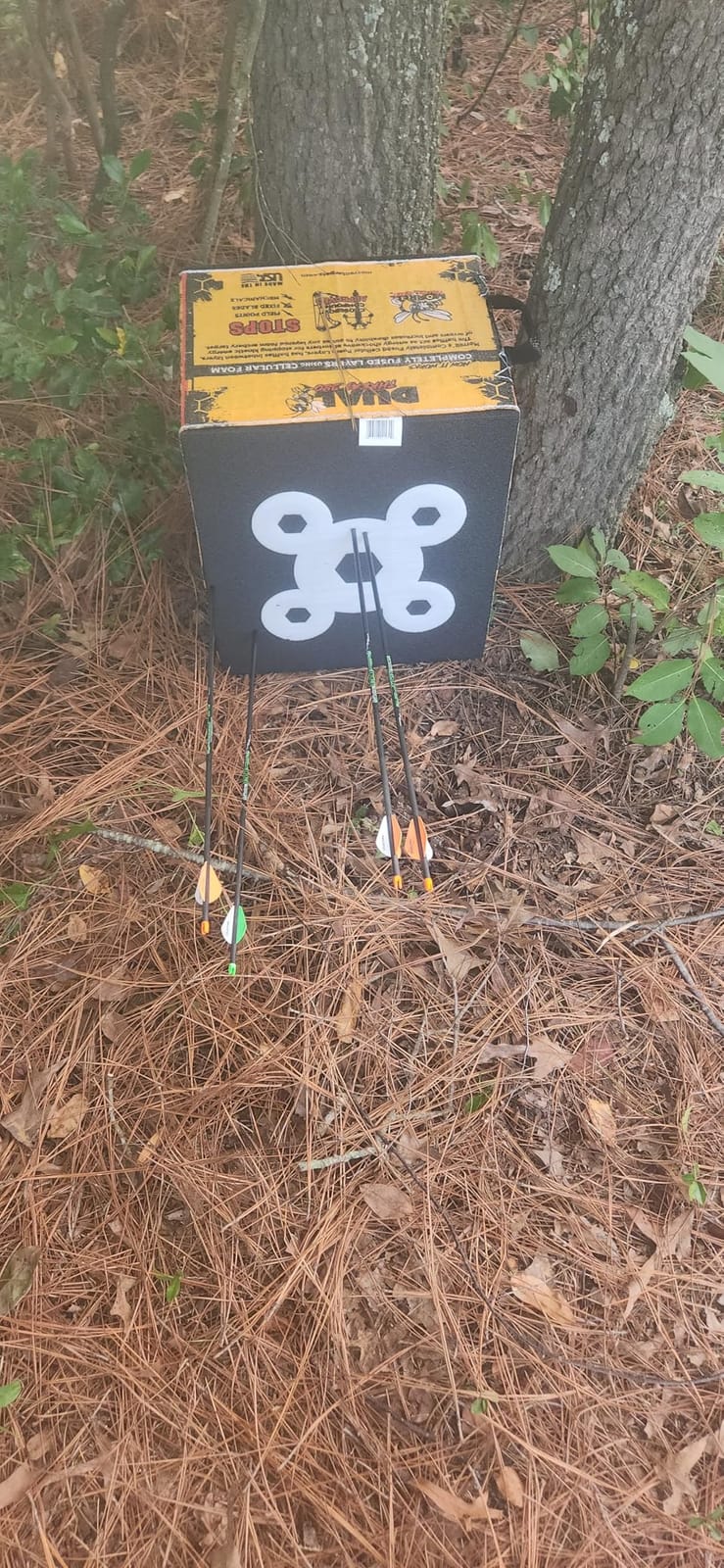 Morrell Yellow Jacket Dual Threat Foam Archery Target Block for Compound Bows and Crossbows, with 4 Sides and 32 Bullseyes, Yellow customer photo 1