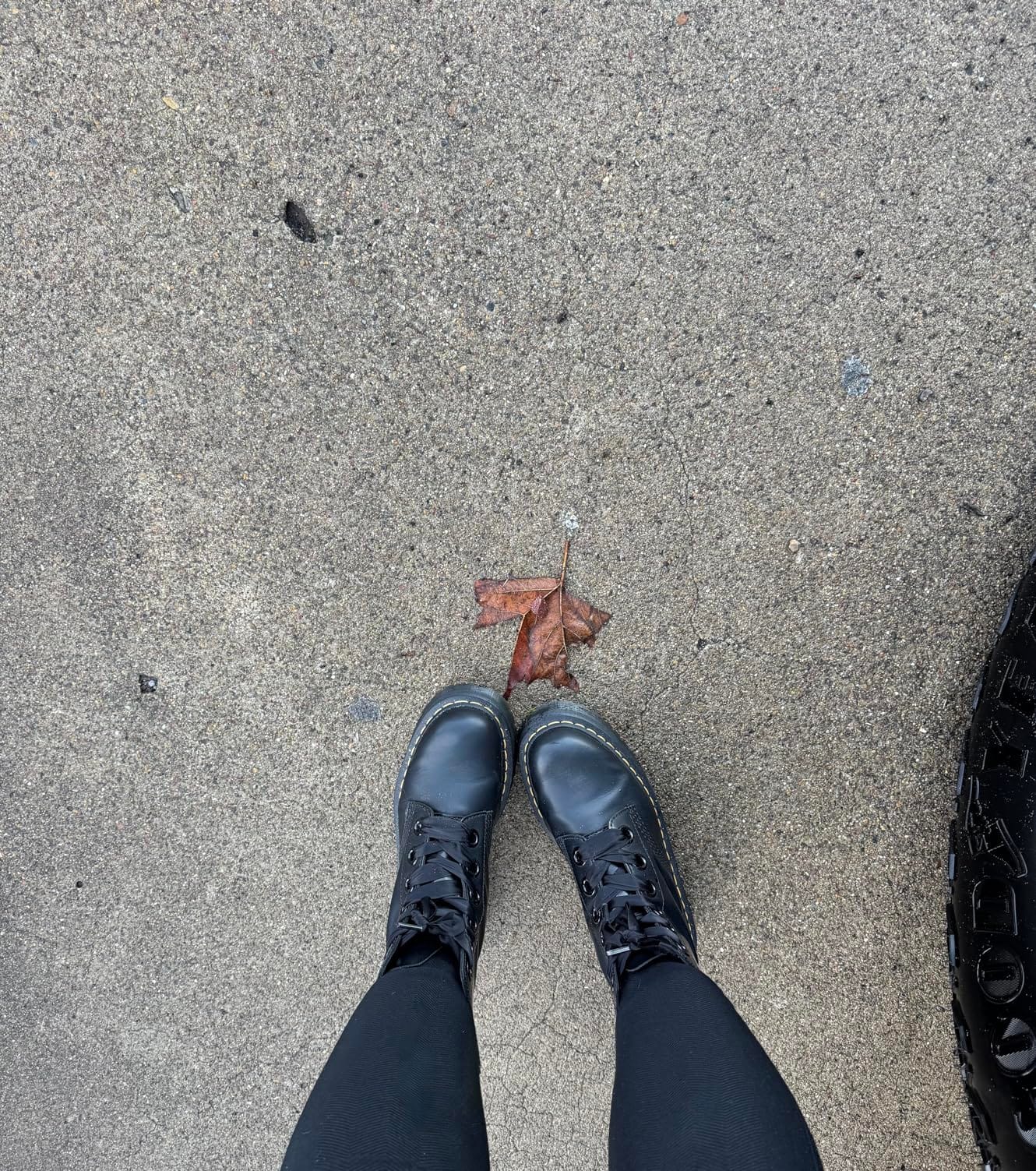 Dr. Martens Womens Molly Leather Platform Boot customer photo 1