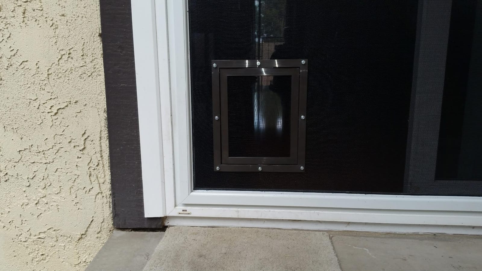PetSafe Screen Door for Dogs & Cats, Up to 100 lb, Large | For Screen Doors or Porch Screens, Puncture-Resistant Mesh, Sliding Wind-Lock, Quick DIY Snap-in Install customer photo 1