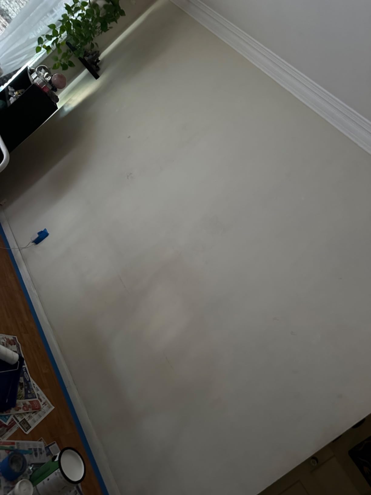 RECOLOR Eco-Friendly Interior Latex Paint, Eggshell Finish, 1 Gallon, Glass customer photo 1