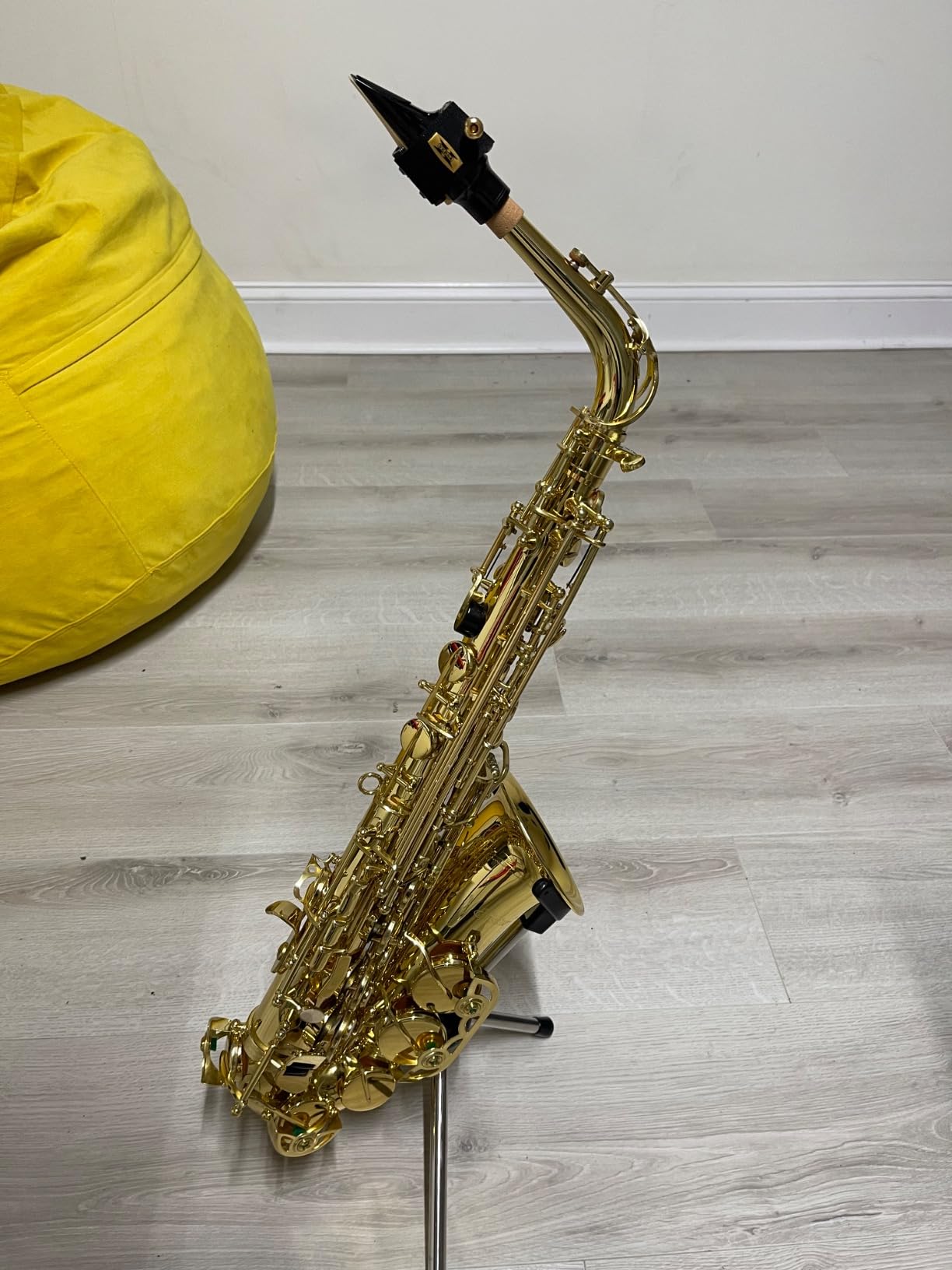 Eastar Alto Saxophone Beginner Student Eb Sax, Golden Full Kit, AS-II customer photo 1