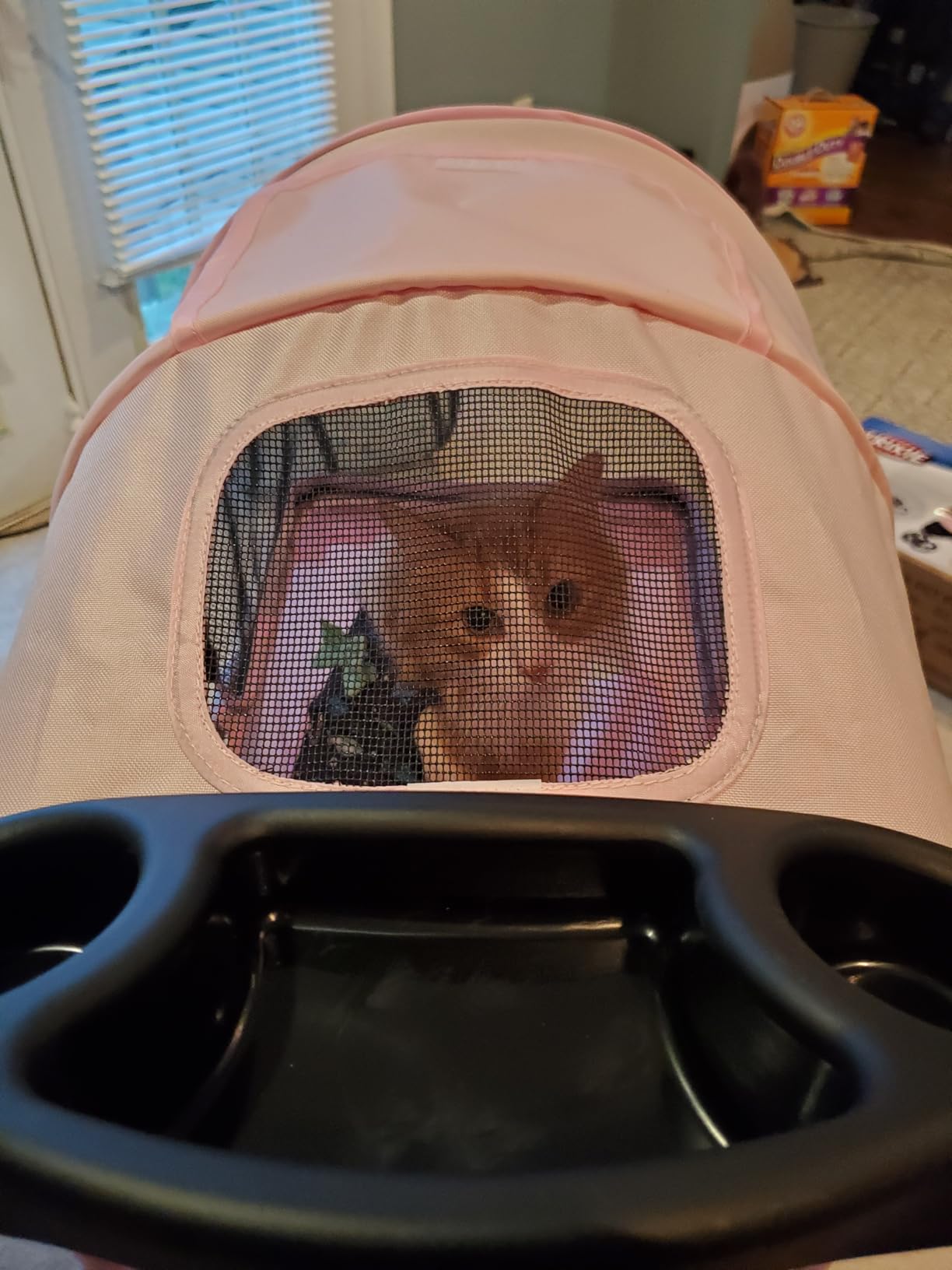 TRIXIE Foldable Pet Stroller for Cats and Dogs, Pet Carrier Strolling Cart with Weather Cover, Storage Basket, Cup Holder, Black | Lightweight, Compact and Portable, Easy to Travel customer photo 1