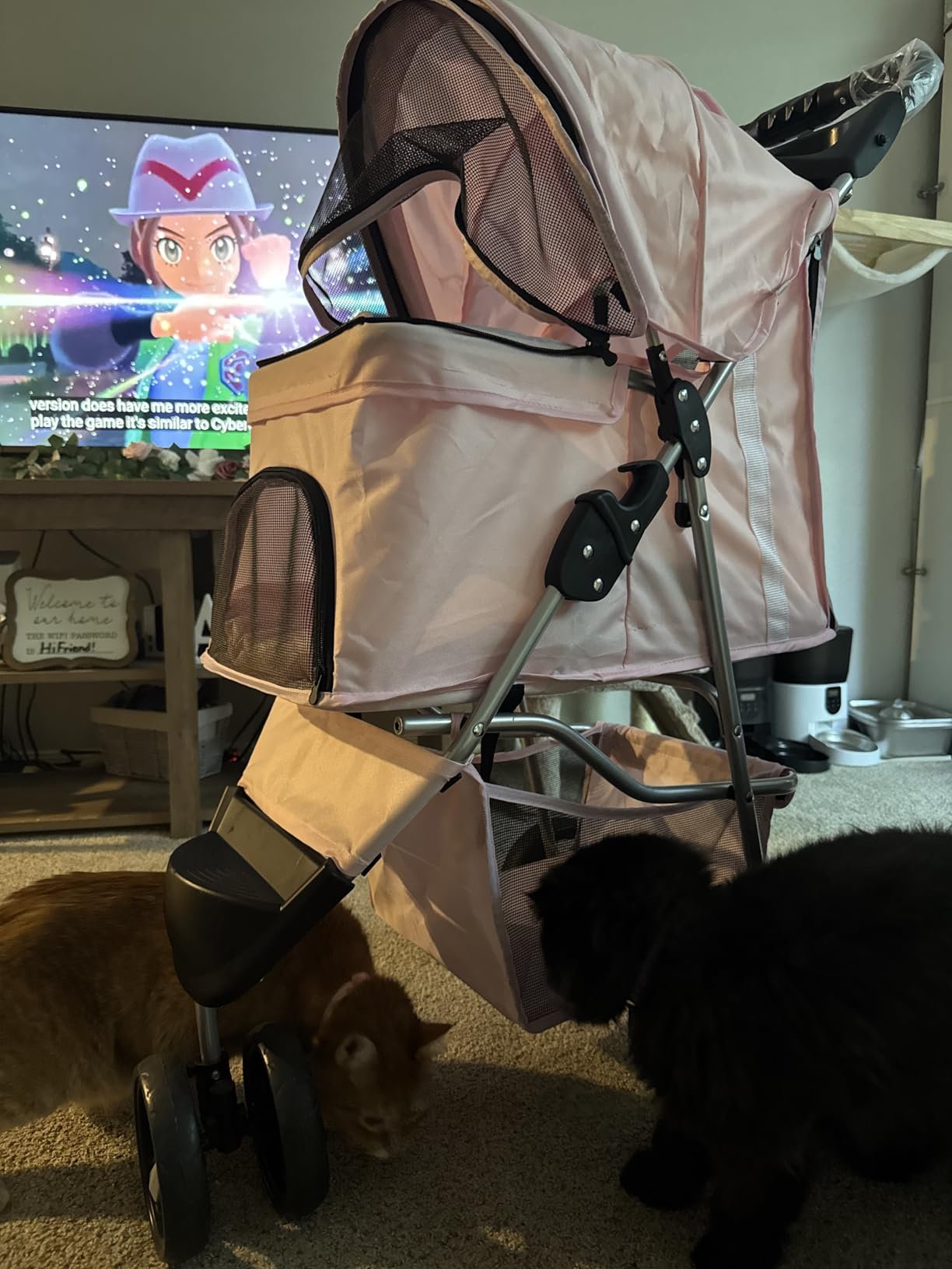 TRIXIE Foldable Pet Stroller for Cats and Dogs, Pet Carrier Strolling Cart with Weather Cover, Storage Basket, Cup Holder, Black | Lightweight, Compact and Portable, Easy to Travel customer photo 2