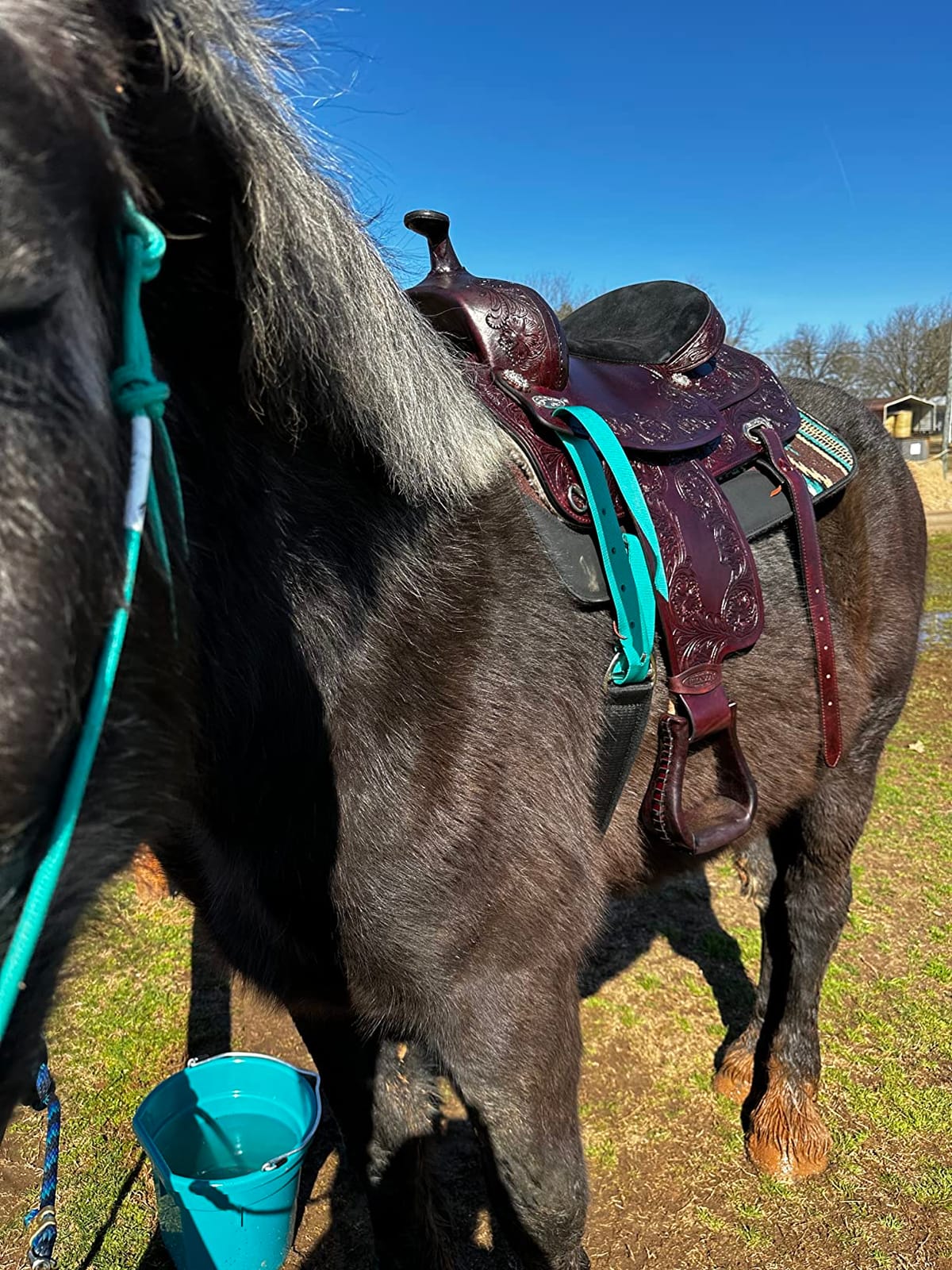 HILASON Western Draft Horse Saddle Dark Brown Leather | Premium American cowhide, hand tooled, 26 inch skirt, 4.5 inch cantle, 9 inch gullet, 23 lbs, trail and pleasure customer photo 2