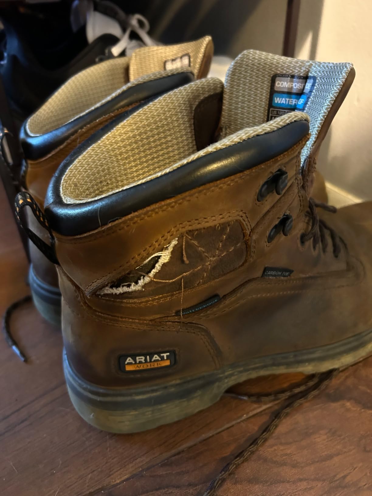 ARIAT Men's Turbo 6