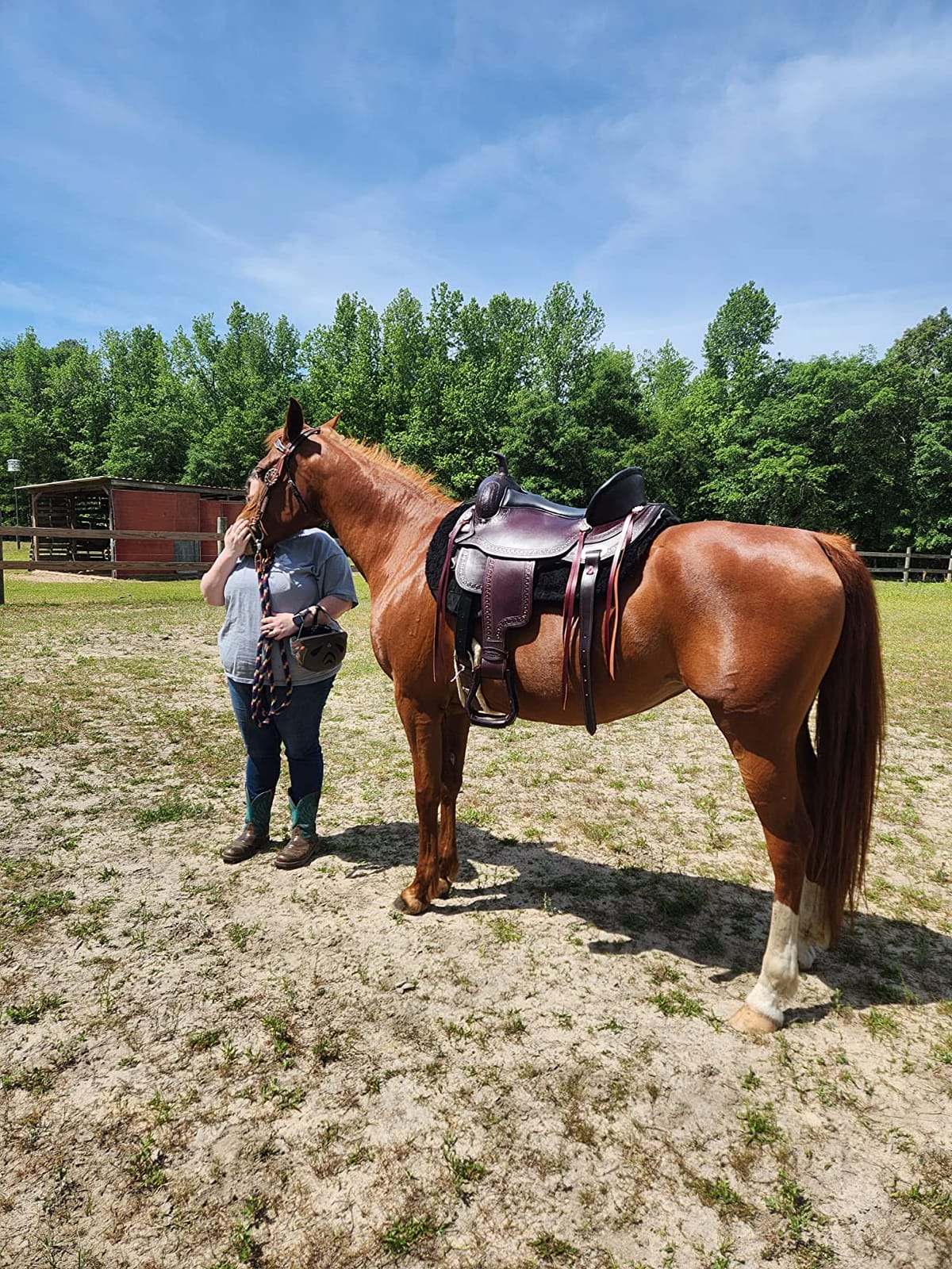 HILASON Western Saddle Chocolate Brown Flex Tree Trail Pleasure | Hand-tooled genuine American cowhide leather, 26-inch skirt, 4.5-inch cantle, 6-8 inch gullet, front and rear cinch straps customer photo 1