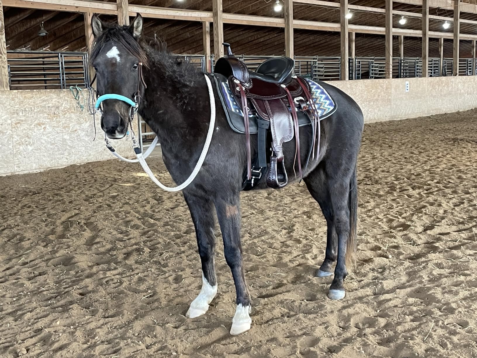 HILASON Western Saddle Chocolate Brown Flex Tree Trail Pleasure | Hand-tooled genuine American cowhide leather, 26-inch skirt, 4.5-inch cantle, 6-8 inch gullet, front and rear cinch straps customer photo 2