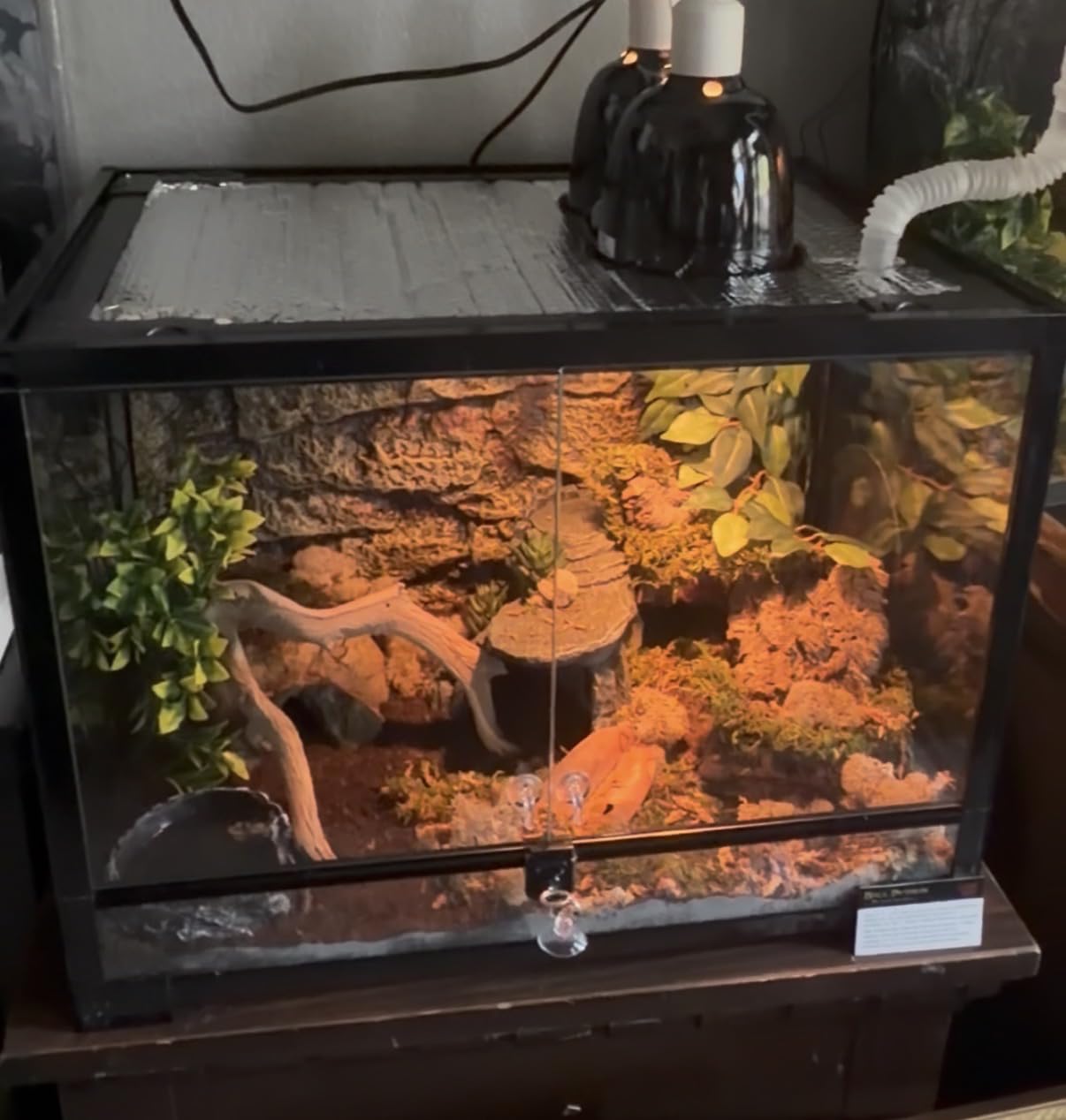 REPTI ZOO 34 Gallon Large Reptile Glass Terrarium Tank with Foam Backgrounds, Double Hinge Door with Screen Ventilation Reptile Terrarium 24