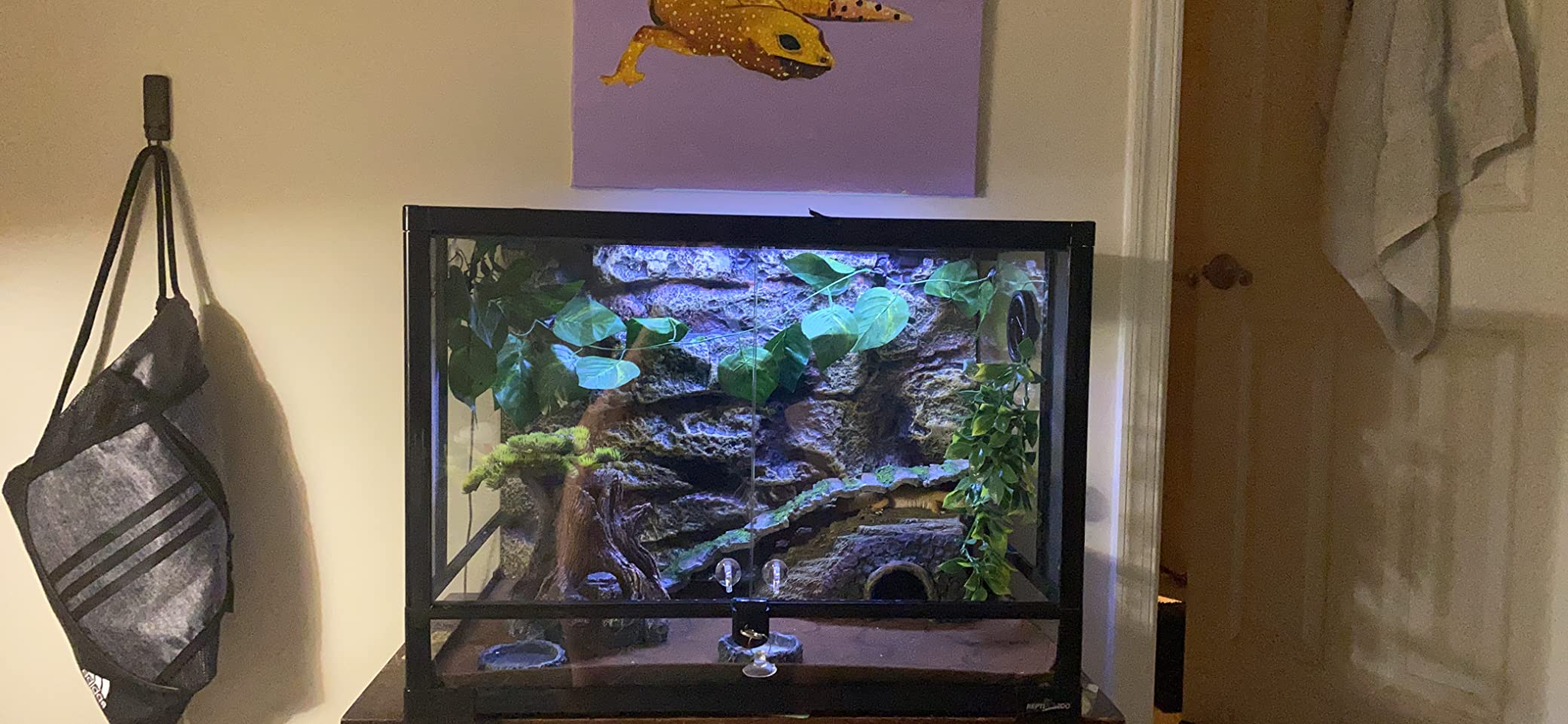REPTI ZOO 34 Gallon Large Reptile Glass Terrarium Tank with Foam Backgrounds, Double Hinge Door with Screen Ventilation Reptile Terrarium 24