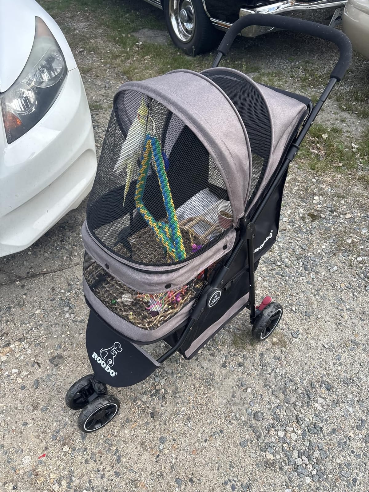 ROODO Escort 3 Wheel Dog Cat Pet Stroller for Small/Medium Dogs Cats Best Lightweight Foldable Portable Compact Jogger All Terrain Travel Pet Gear System Puppy Doggie Bunny Kitty Stroller(Grey) customer photo 1