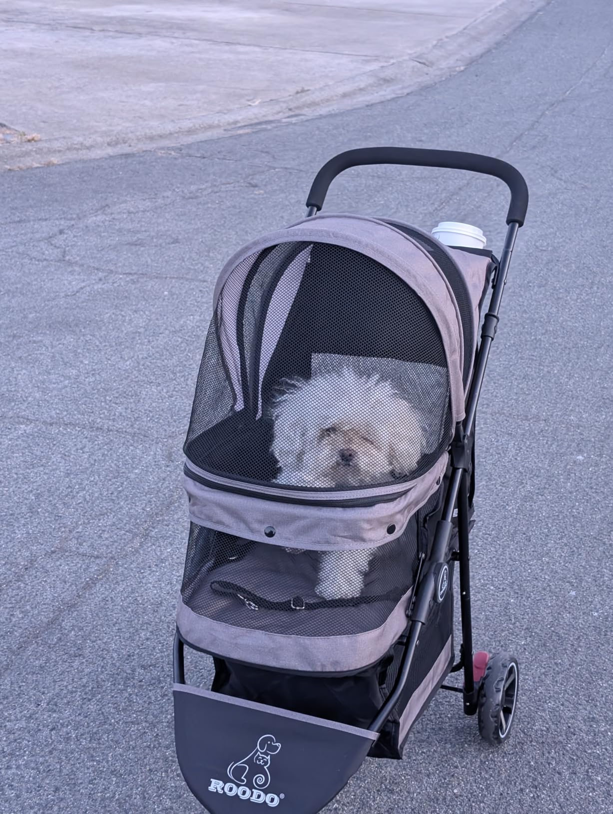 ROODO Escort 3 Wheel Dog Cat Pet Stroller for Small/Medium Dogs Cats Best Lightweight Foldable Portable Compact Jogger All Terrain Travel Pet Gear System Puppy Doggie Bunny Kitty Stroller(Grey) customer photo 2