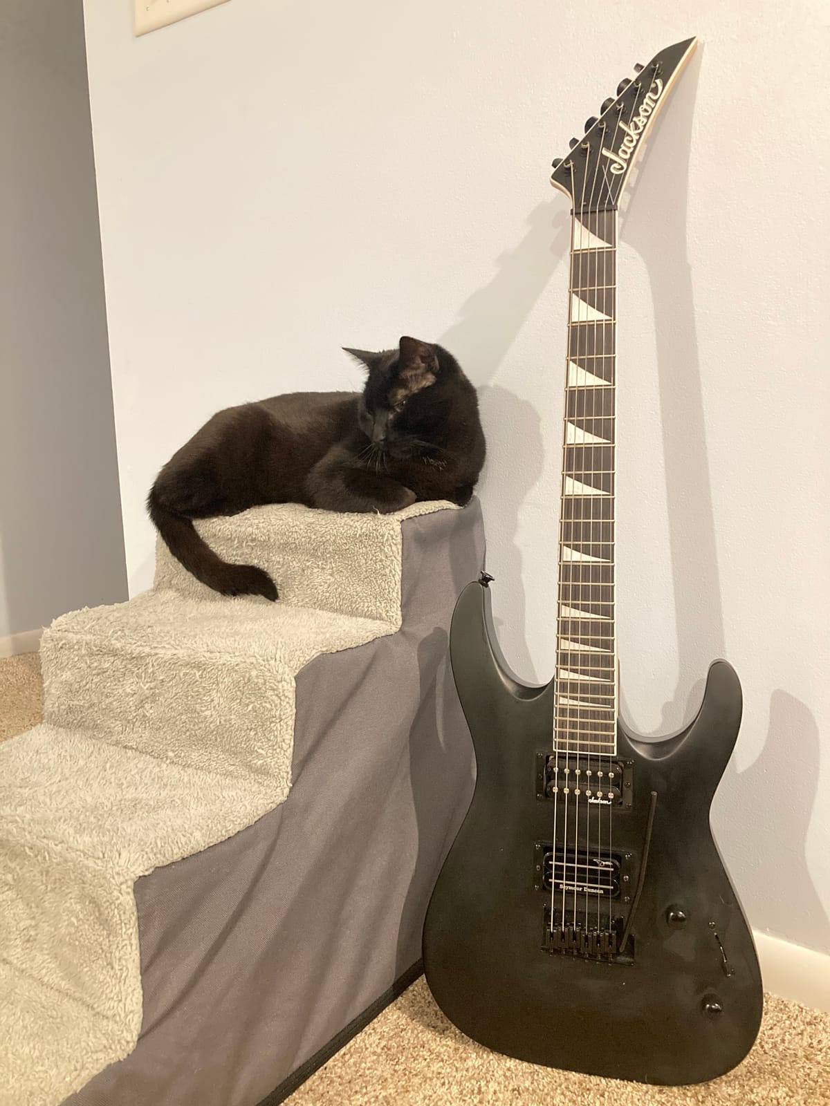 Jackson JS Series Dinky Arch Top JS22 DKA - Satin Black customer photo 2