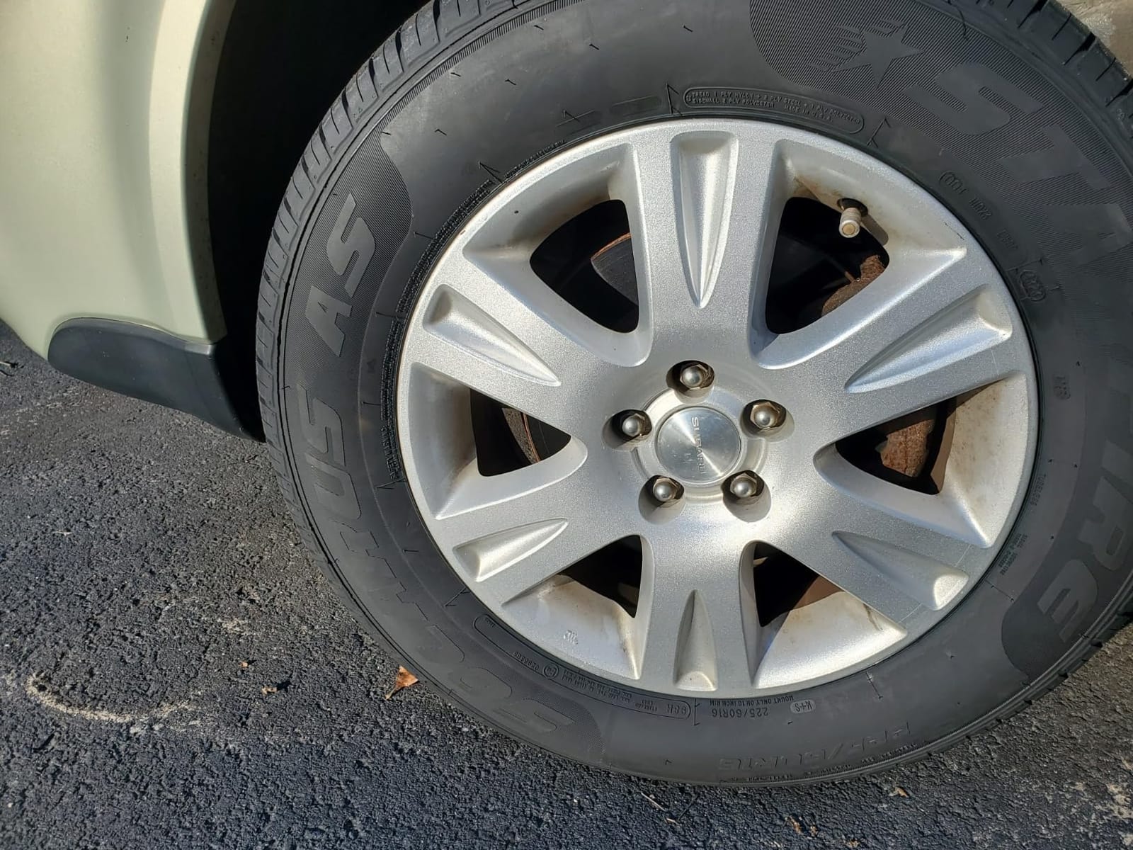 Starfire Solarus AS All-Season 205/55R16XL 94V Tire customer photo 2