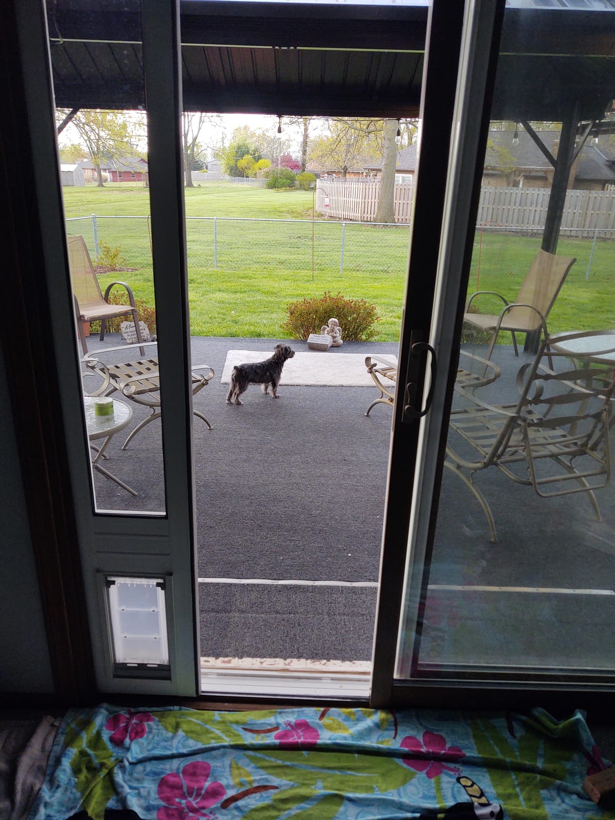 Endura Flap Pet Door for Vinyl Sliding Glass Doors | Weatherproof & Insulated Dog Door for Vinyl Sliders | Durable with Secure Locking Cover | White, Large Flap, 77