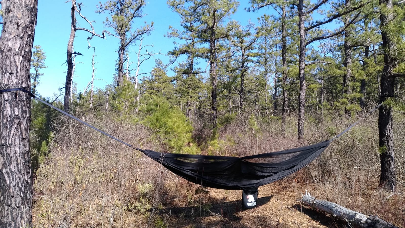 Covacure Camping Hammock, 772 lbs Capacity Double Hammock - Black | Lightweight Hammocks with Tree Straps & Carry Bag, Durable Parachute Nylon, Portable for Hiking, Backyard, Travel, Beach customer photo 1