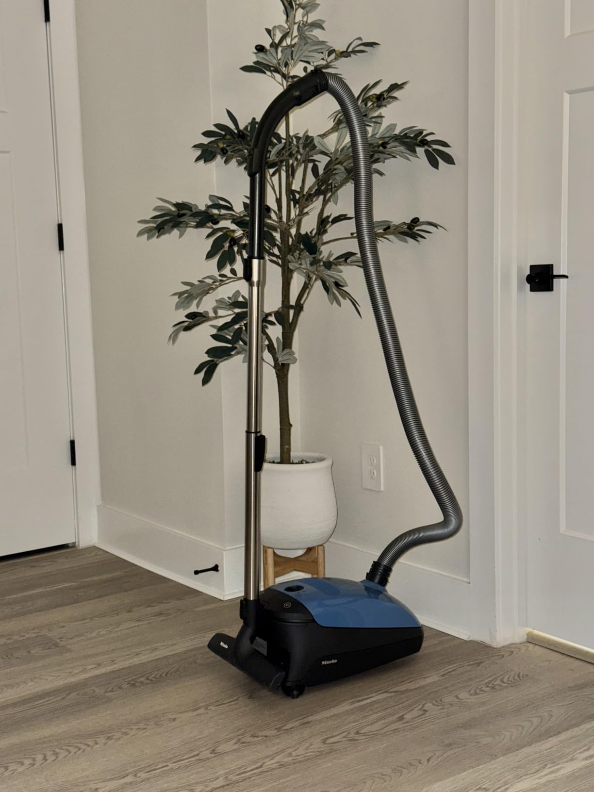 Miele Classic C1 Turbo Team Vacuum for Hard Floors & Low-Med Pile Carpet customer photo 1