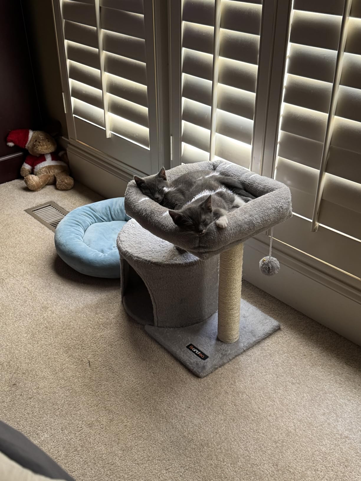 Feandrea Cat Tree, 18.5-in Small Cat Tower, Cute Kittens Condo, Light Gray | for Small Space Room, with Sisal Scratching Posts, Large Padded Perch, Spacious Cave, Toy Ball, Easy to Assemble customer photo 2