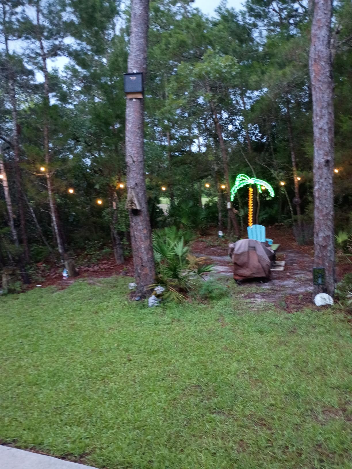 addlon LED Outdoor String Lights 48FT Edison Vintage Weatherproof ETL | Commercial Grade Strand with Shatterproof Bulbs, Decorative Hanging Lights for Patio Backyard Garden Cafe Bistro Deck customer photo 2