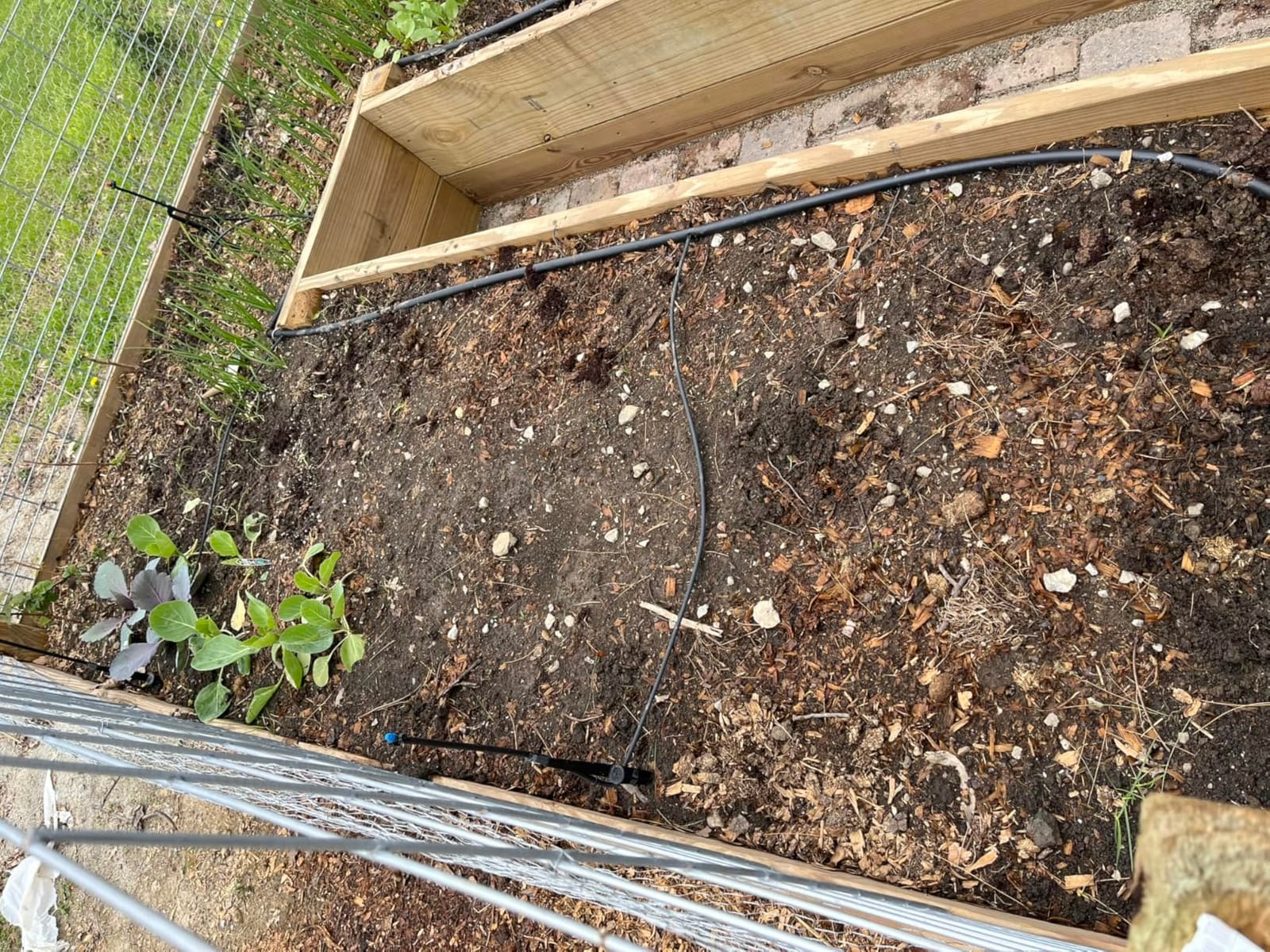 Rain Bird LNDDRIPKIT Drip Irrigation Kit customer photo 1