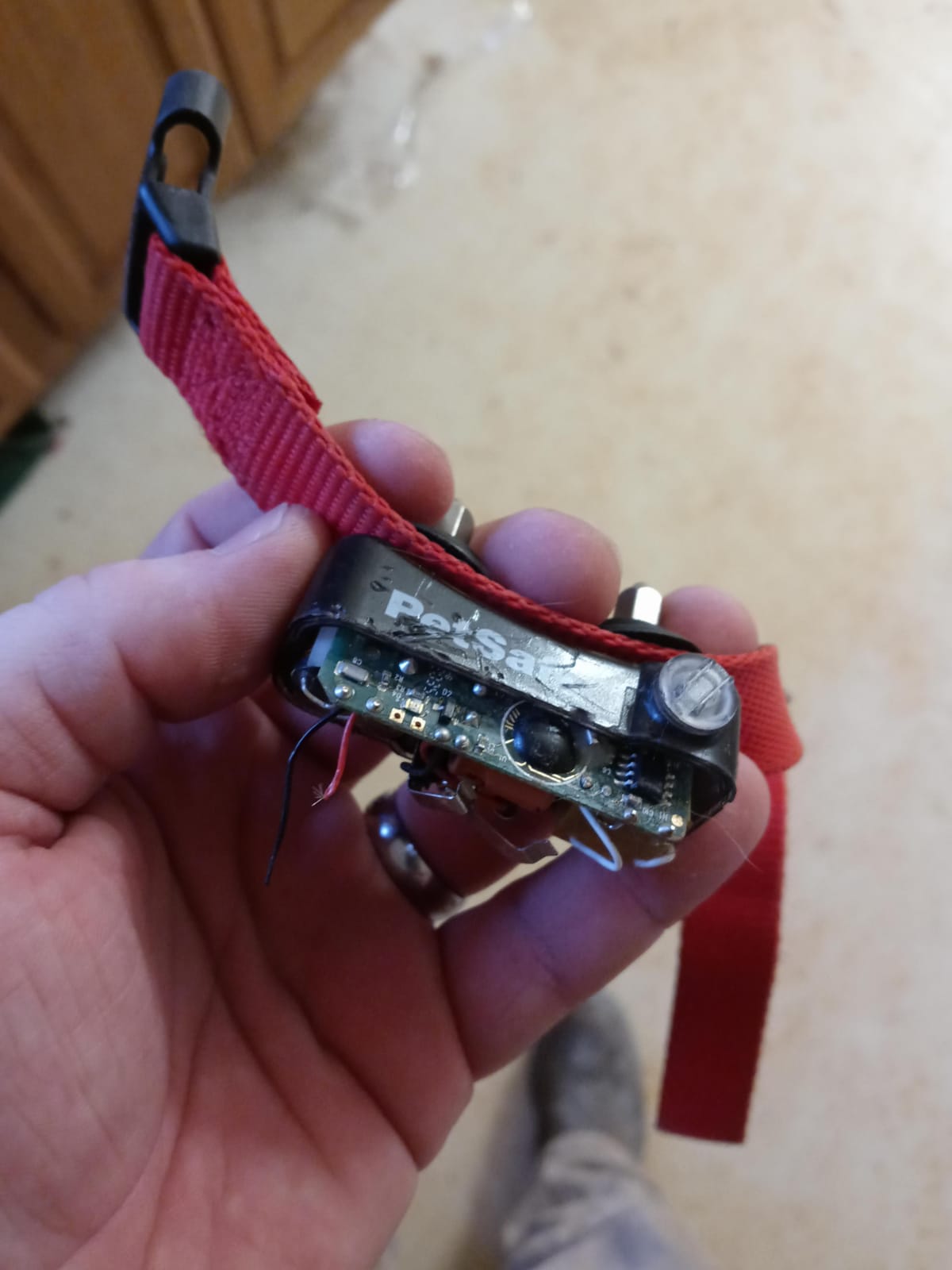PetSafe Basic In-Ground Fence, 2 Waterproof Collars, 4 Static Levels, 8lb+ | Tone-Only Mode Plus 4 Static Levels, Unlimited Collars Can Be Added, up to 2 Months Battery Life, DIY Install customer photo 2