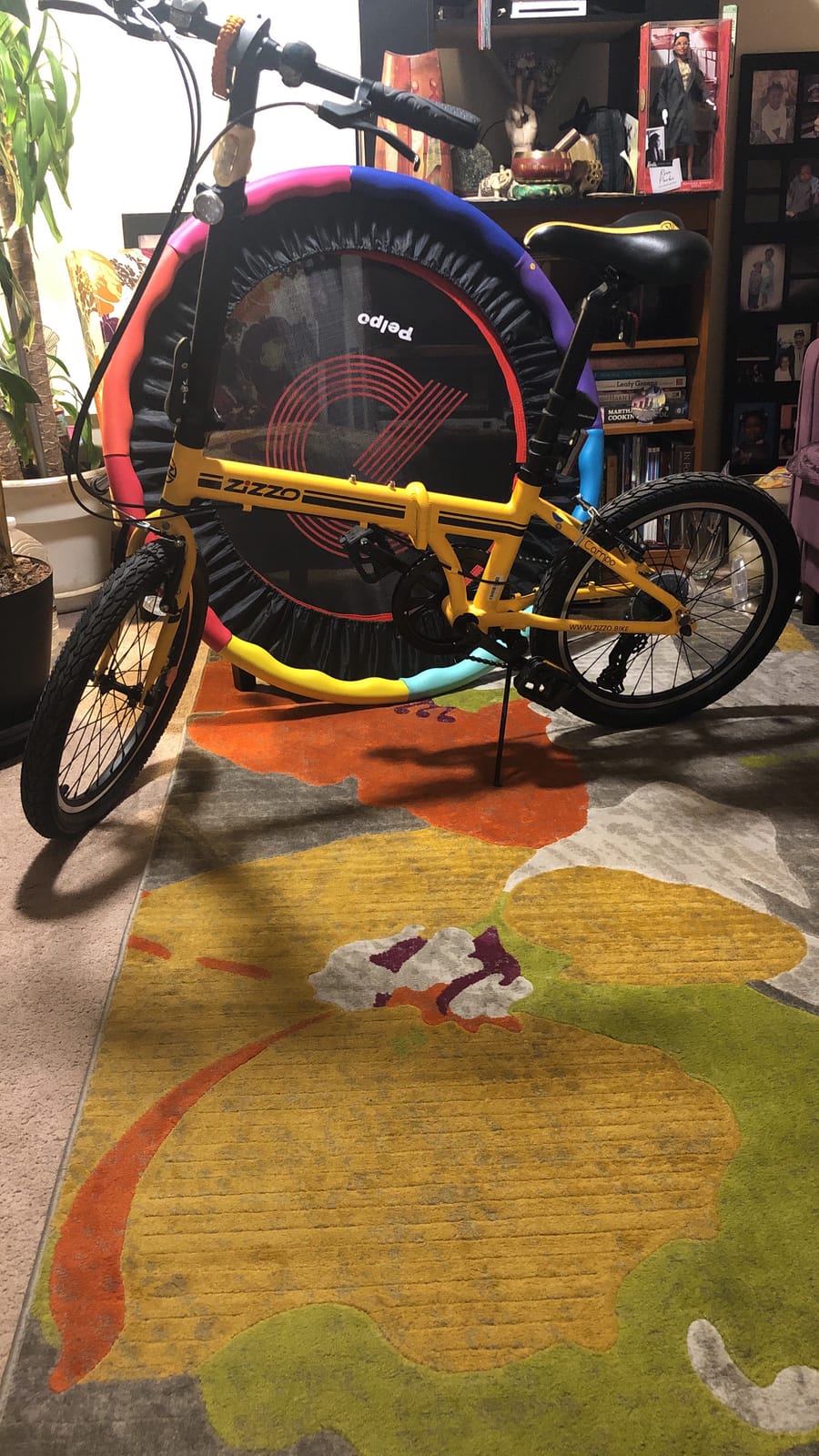 ZiZZO Marino Rust Resistant 8-Speed Aluminum 20 inch Folding Bicycle customer photo 2