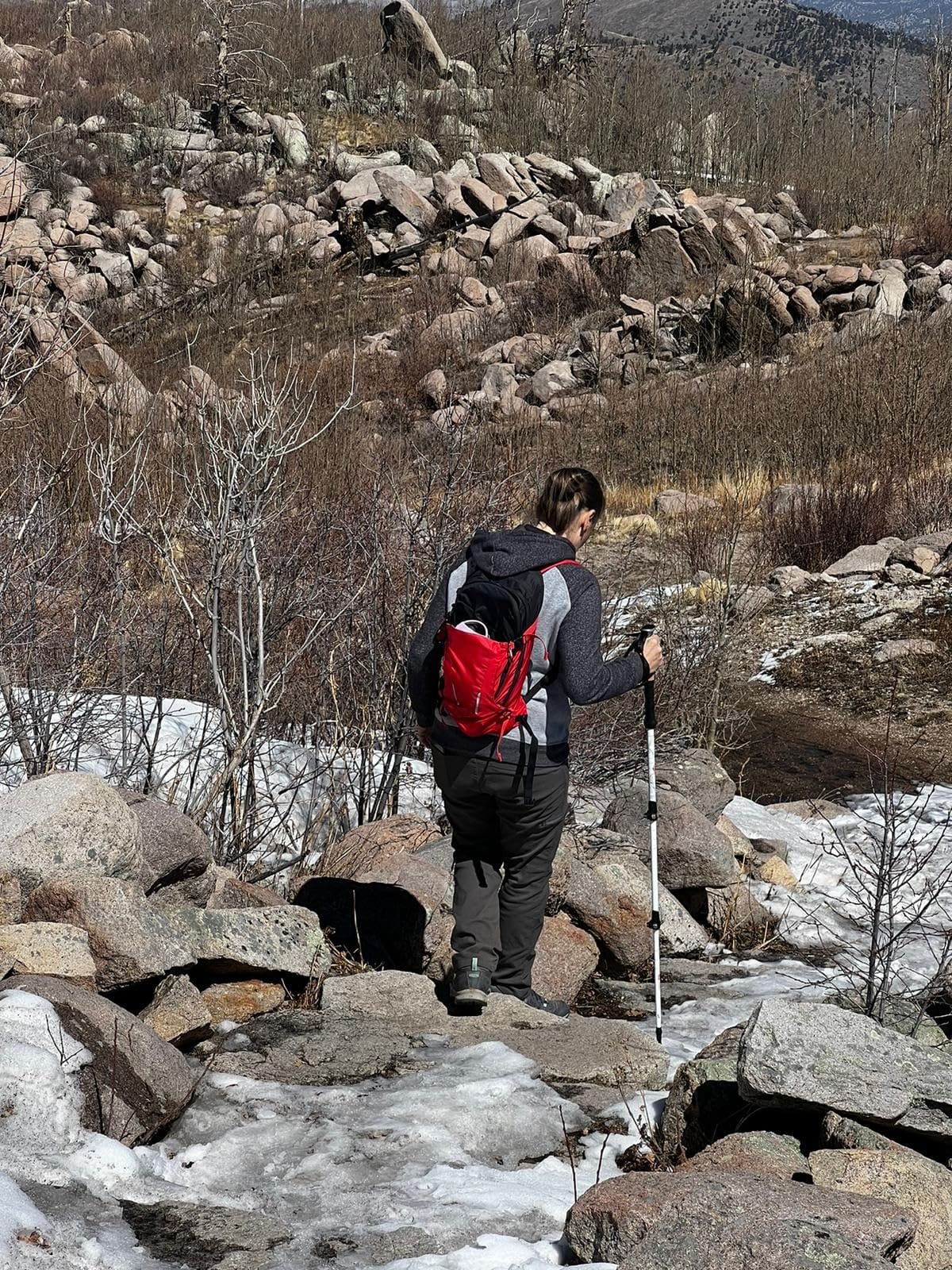 Cascade Mountain Tech Trekking Poles - Carbon Fiber Walking or Hiking Sticks with Quick Adjustable Locks customer photo 2