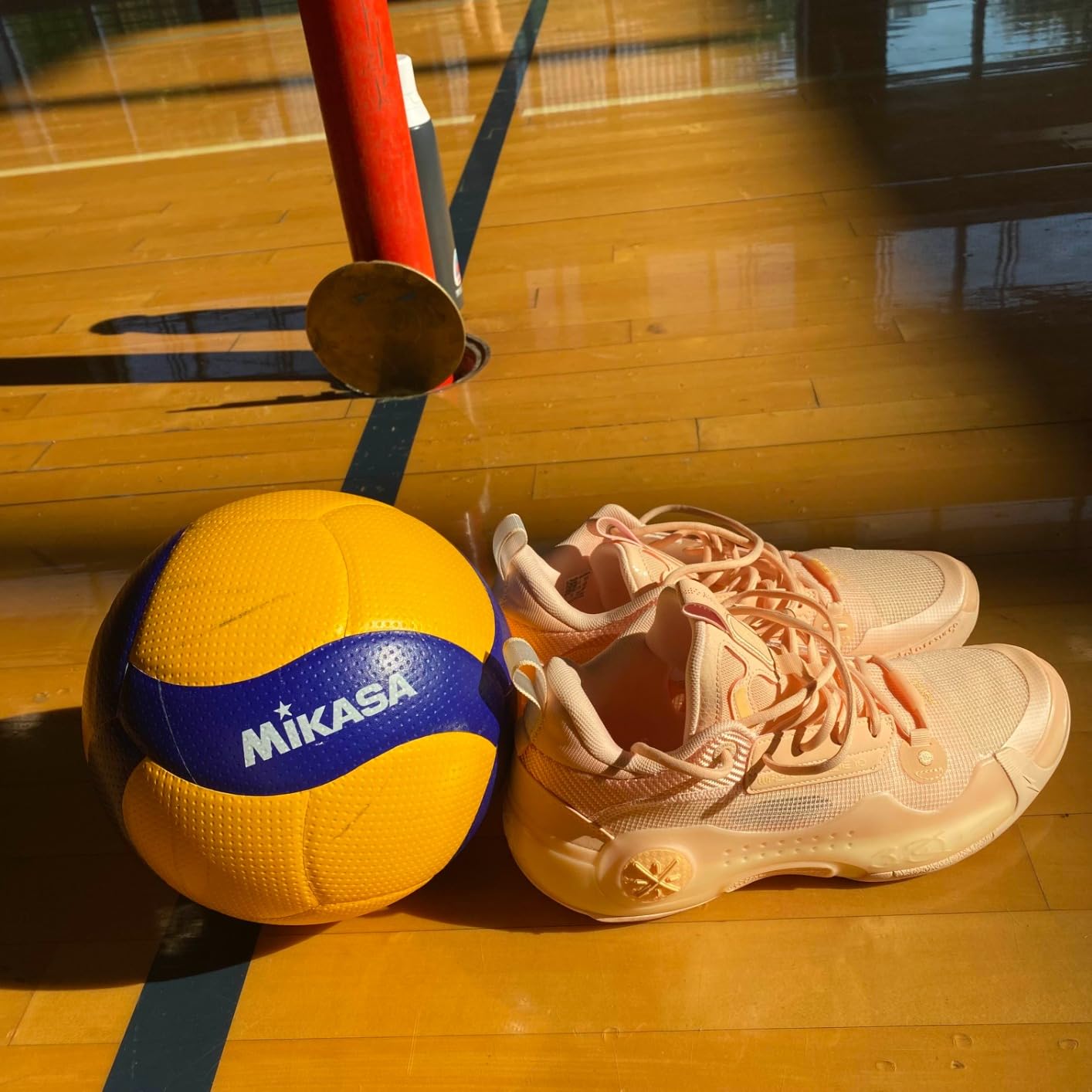 Mikasa V200W Volleyball customer photo 2