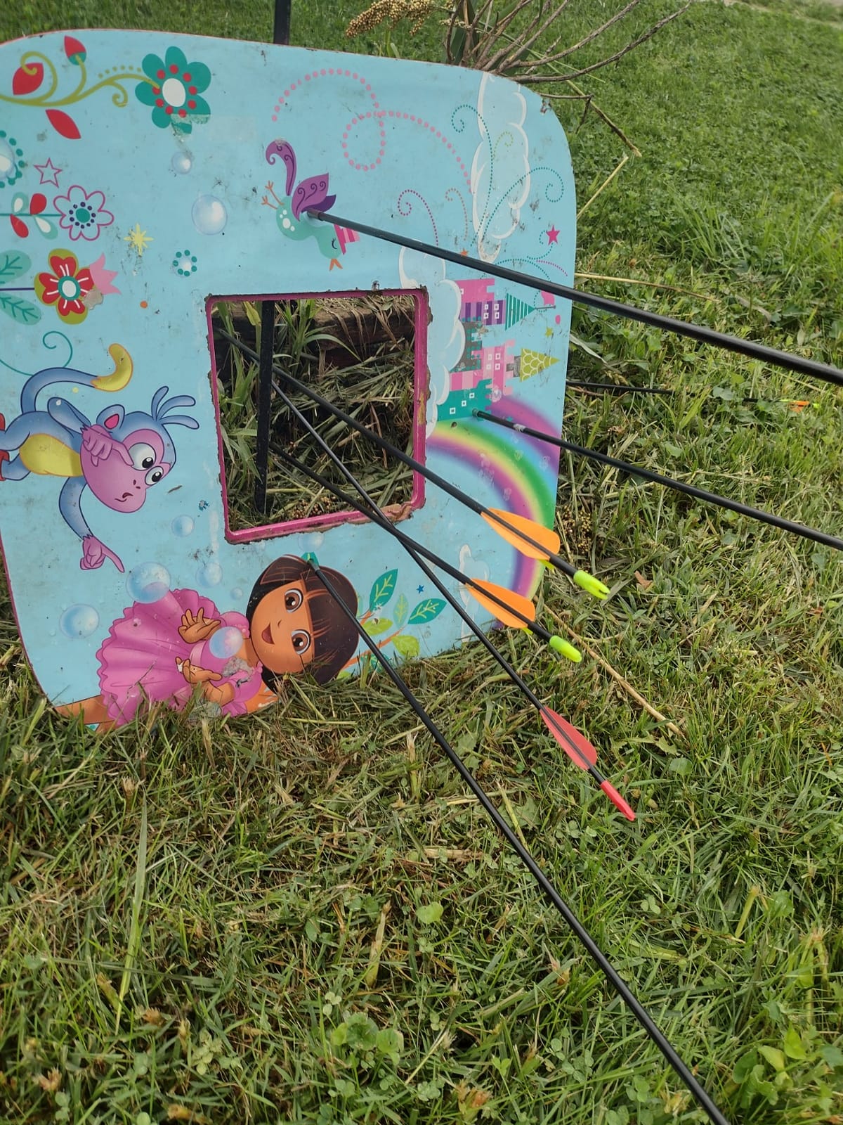 Compound Bow Archery for Youth and Beginner, Right Handed, 19