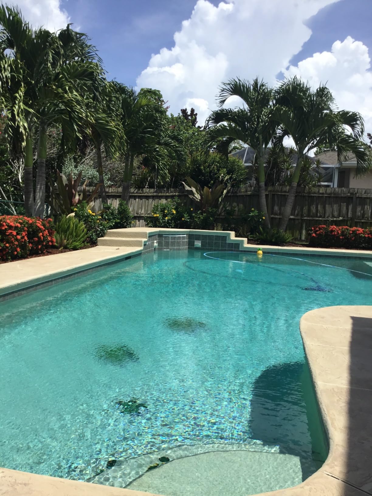Hayward Pool Filter W3S244T2 Top-Mount Pool Sand Filter, 24 Inch customer photo 2