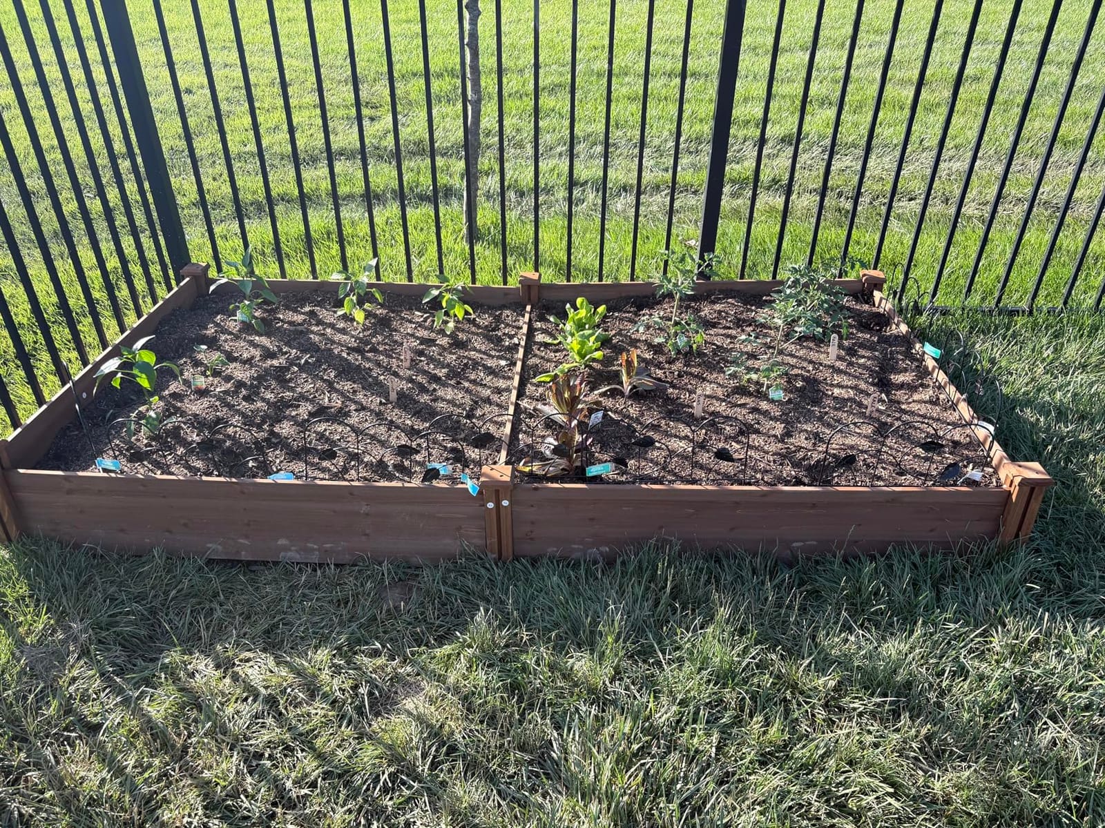 Yaheetech Raised Garden Bed Wooden Planter Box for Vegetables/Flowers, Wood | Fir wood raised bed offers easy assembly, and a practical space for growing vegetables, herbs, and garden plants. customer photo 1