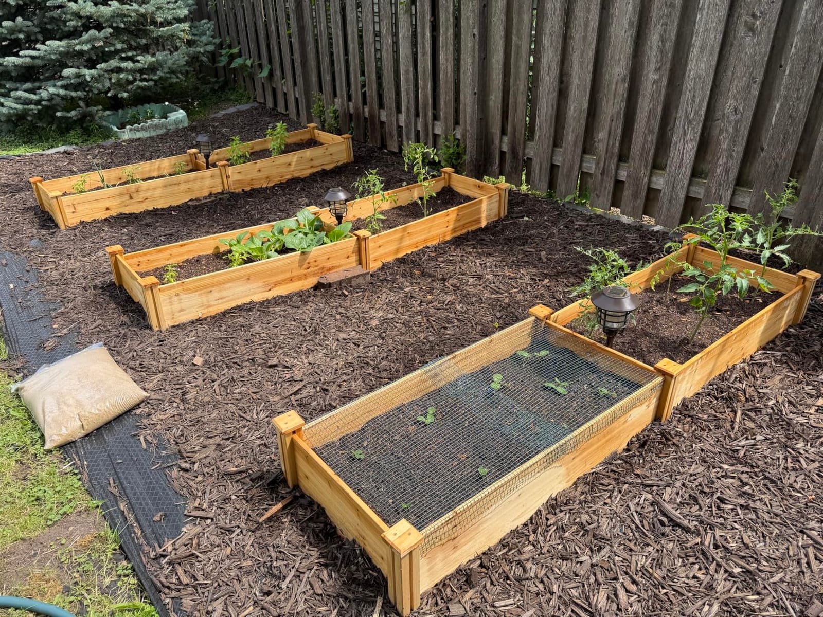 Yaheetech Raised Garden Bed Wooden Planter Box for Vegetables/Flowers, Wood | Fir wood raised bed offers easy assembly, and a practical space for growing vegetables, herbs, and garden plants. customer photo 2