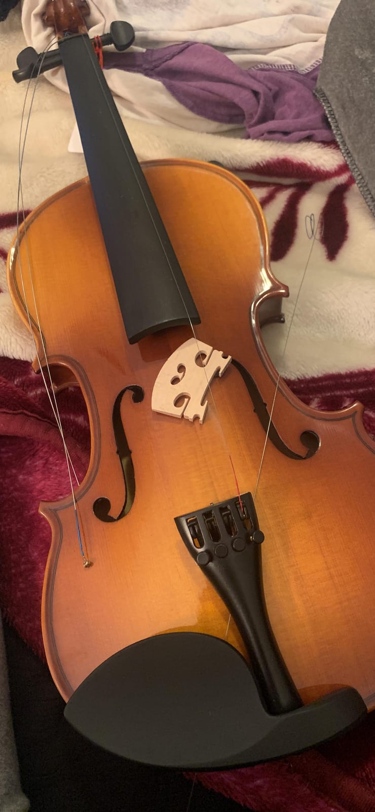 Eastar 4/4 Violin Set Full Size Fiddle Solidwood for Adults with Hard Case, Shoulder Rest, Rosin, Two Bows, Clip-on Tuner and Extra Strings, EVA-330 customer photo 1