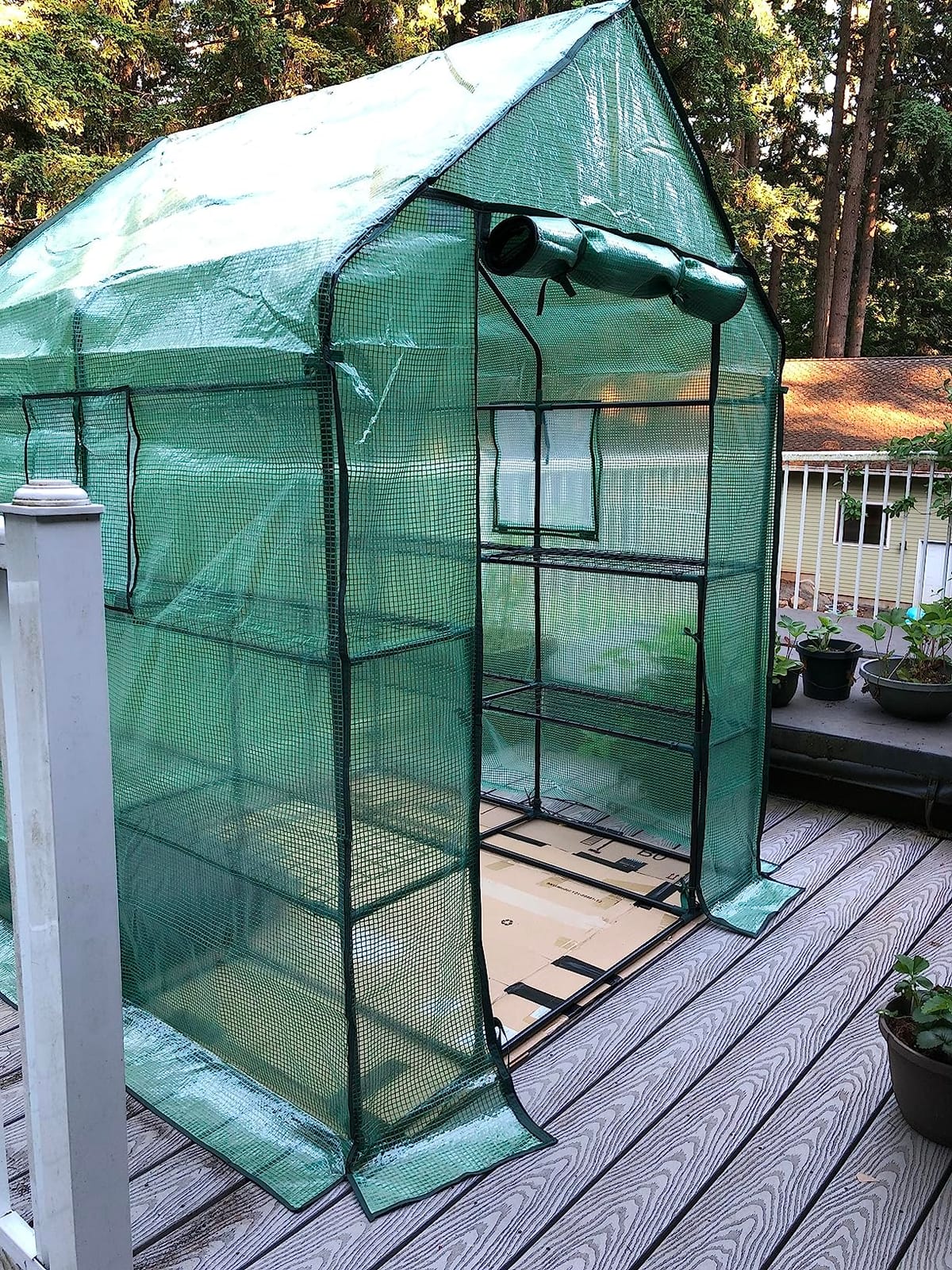 Ohuhu Greenhouse for Outdoors with Screen Windows, 57 x 57 x 76'' Walk in Plant Greenhouses Heavy Duty with Durable PE Cover, 3 Tiers 12 Shelves Stands Plastic Portable Green House with Shelf Clips customer photo 2