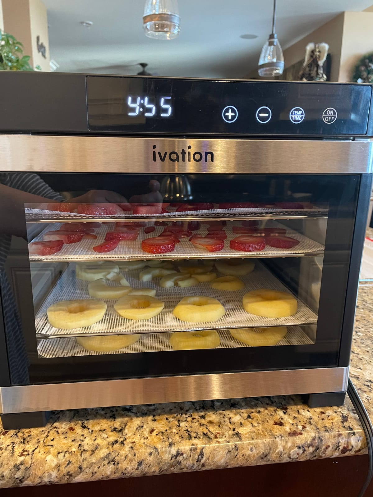 Ivation 10 Tray Food Dehydrator, 1000W, Stainless Steel customer photo 1