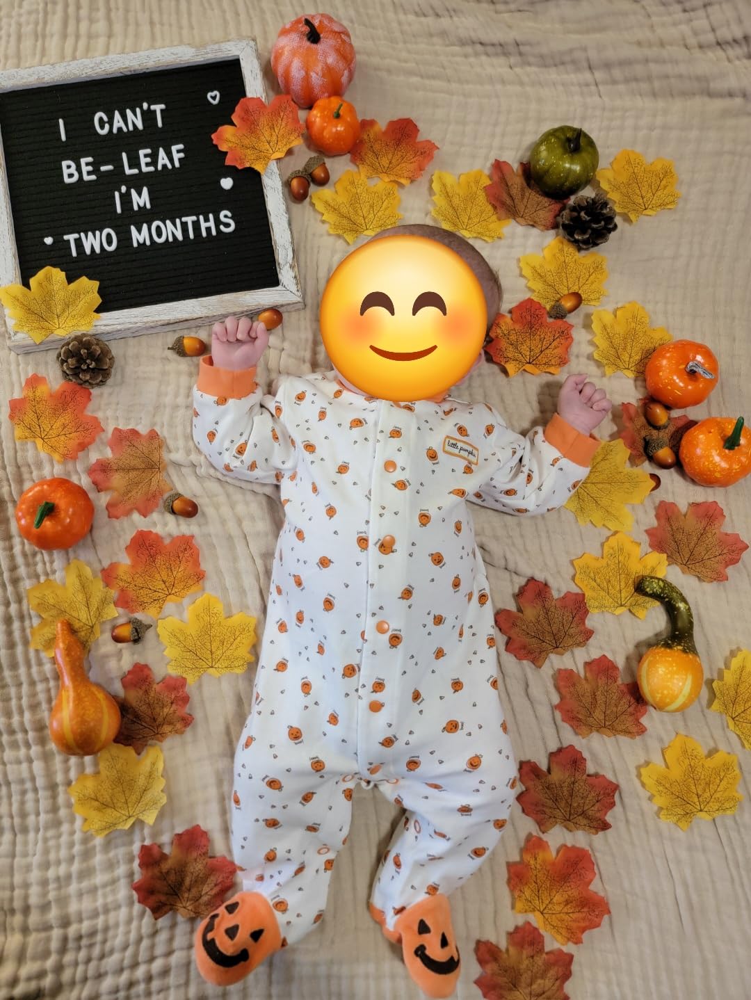 winemana Fall Decorations for Home Mini Pumpkins Gourds & Leaves Set | Thanksgiving Autumn Harvest Table Centerpieces, Cornucopia Basket Bowl Filler, Largest Pumpkin: 4.5