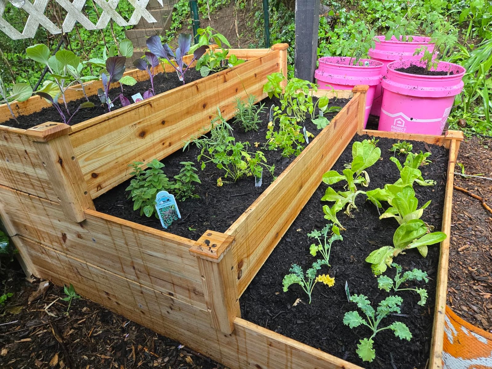 Yaheetech 3 Tier 47 x 47 x 22in Raised Garden Bed, Horticulture Outdoor Elevated Flower Box, Tiered Garden Bed Wooden Vegetables Growing Planter customer photo 1