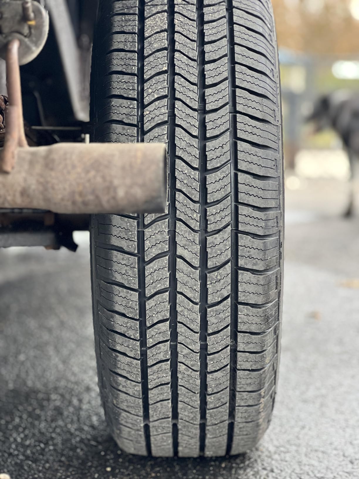 Starfire Solarus HT All-Season 245/60R18 105H Highway Tire customer photo 1