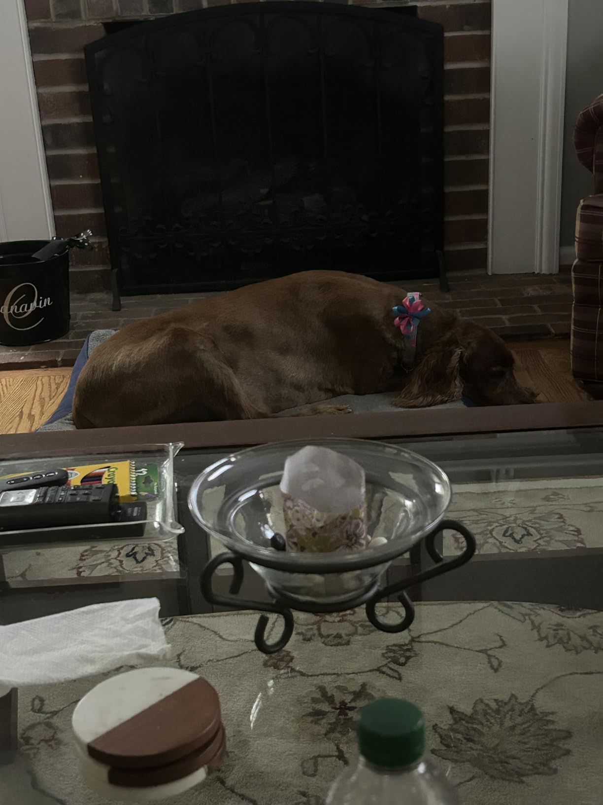 Bedsure Washable Dog Beds Large Sized Dog with Comfy Sherpa, 36x27in Grey | Orthopedic Egg Crate Foam, Comfort Support Flat Rectangle Pet Mat, Non-Slip Bottom, Removable Cover, For Large Breed Up to 55 lbs customer photo 2